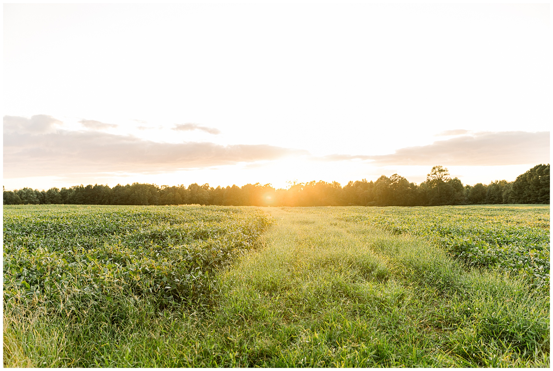Magical Field Elopement Wedding - Tiffany L Johnson Photography_0085.jpg