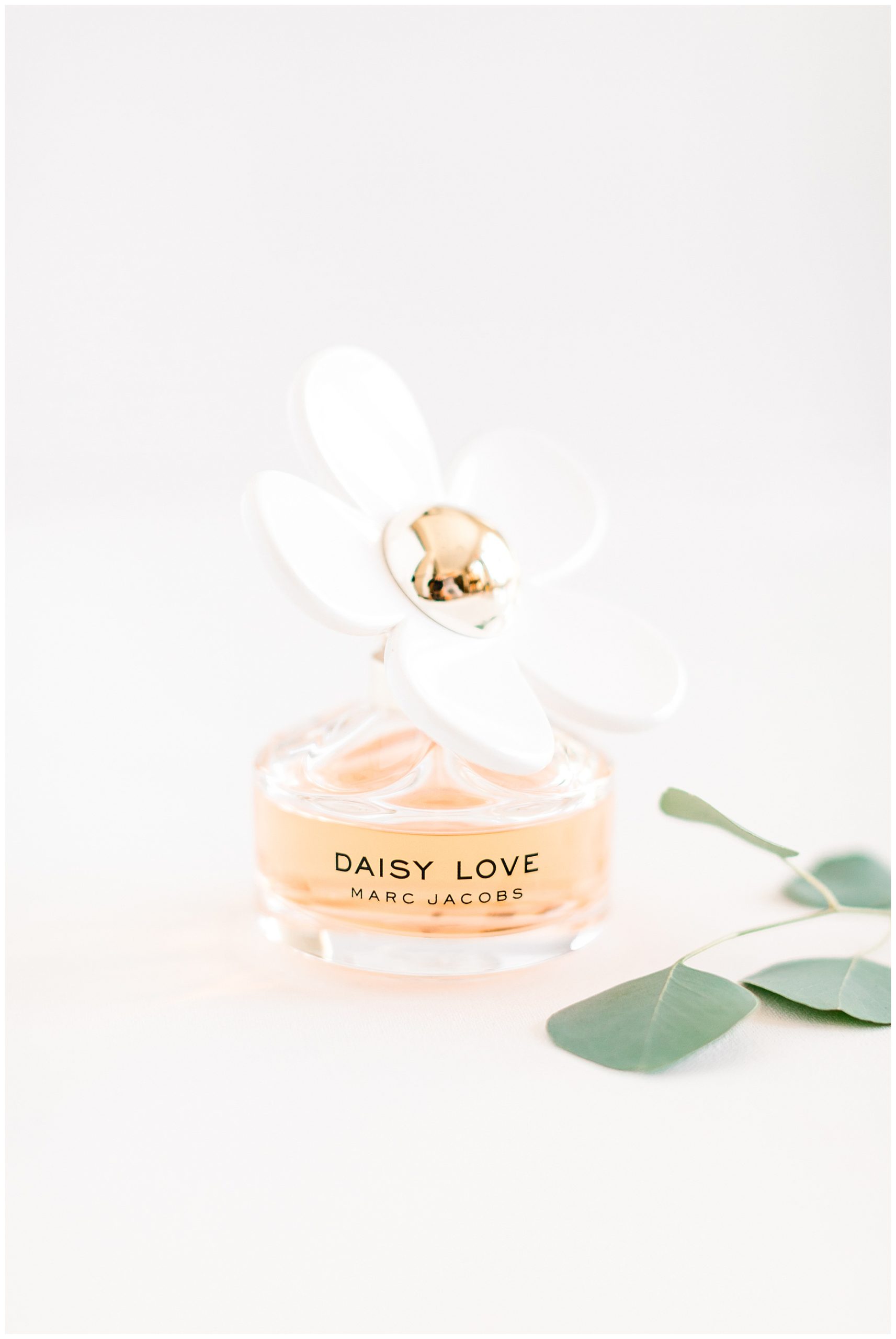 Nashville NC Wedding Day - Tiffany L Johnson Photography