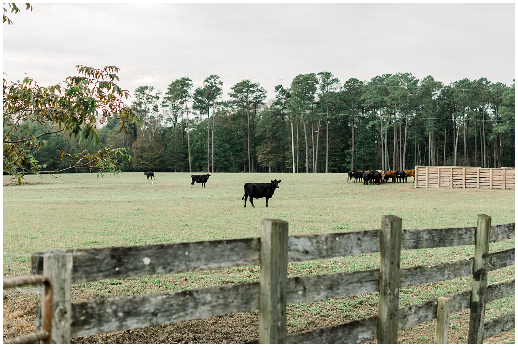 Eastern NC Beach Engagement Session - Tiffany L Johnson Photography_0002.jpg