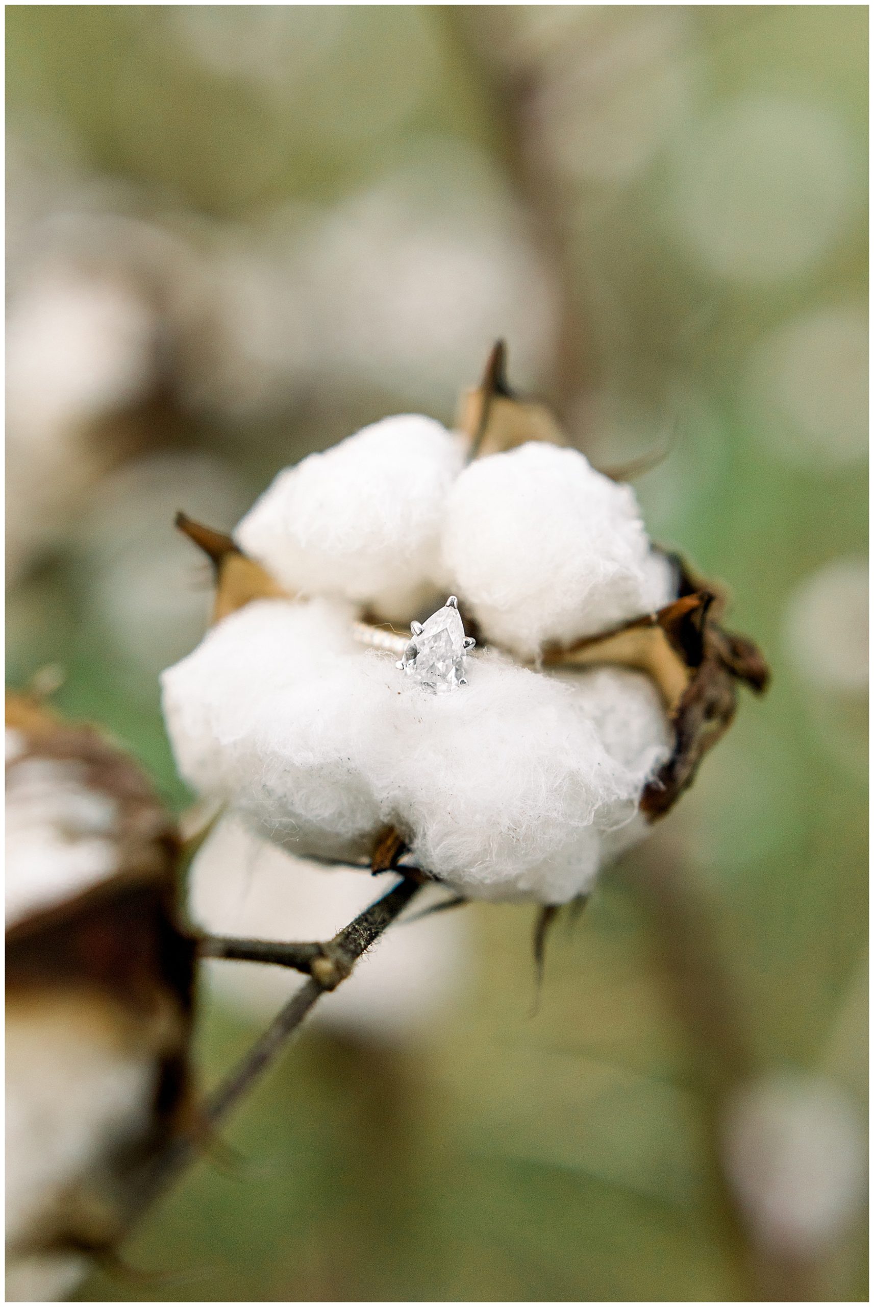 Eastern NC Beach Engagement Session - Tiffany L Johnson Photography_0078.jpg