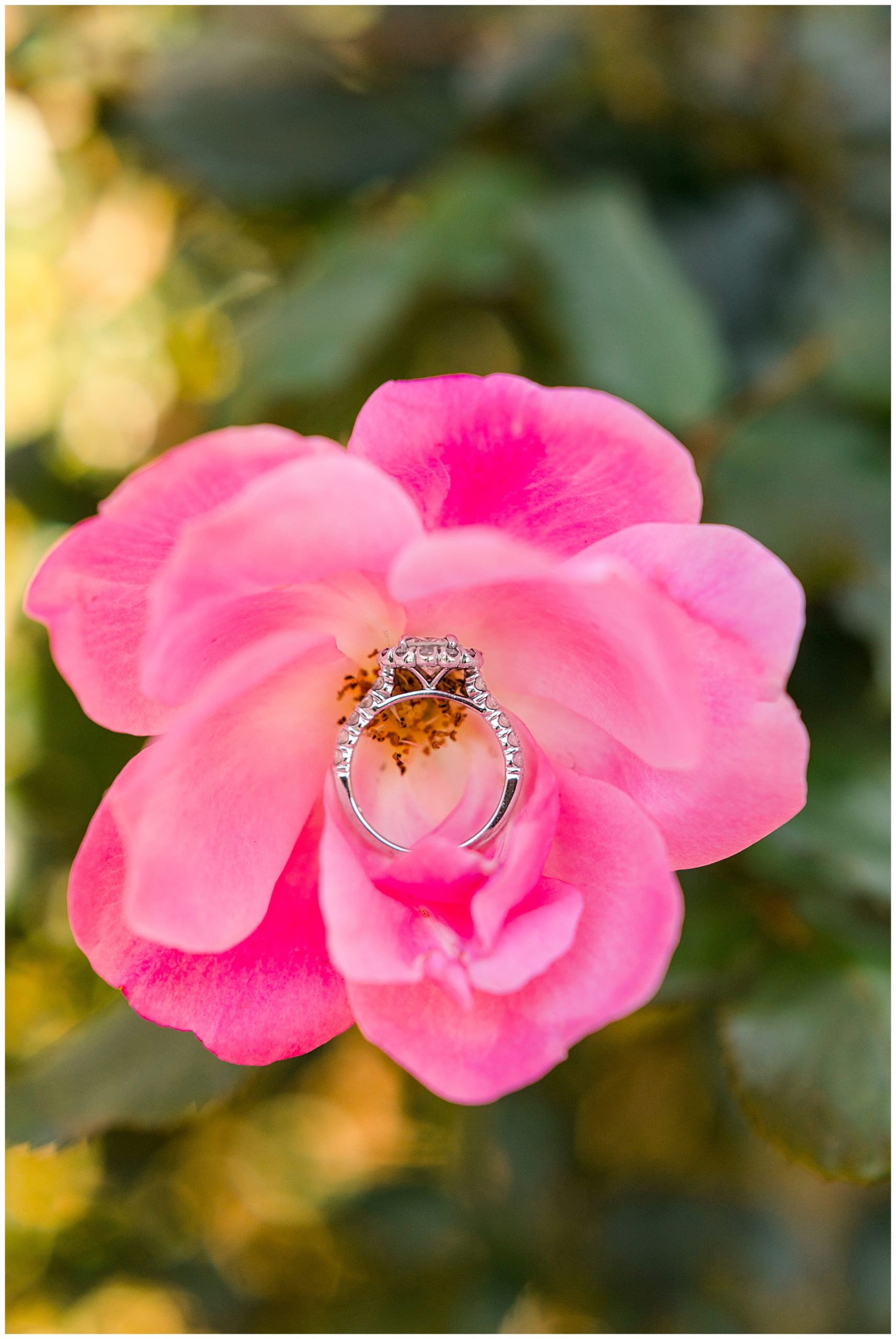 Ray Family Farm Engagement Session - Bunn WEdding Photographer - Tiffany L Johnson Photography_0023.jpg