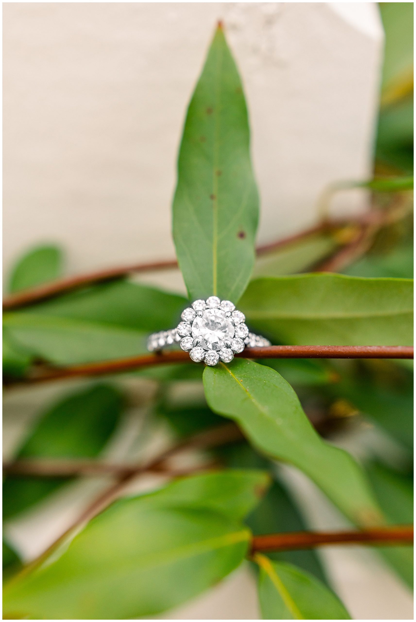Ray Family Farm Engagement Session - Bunn WEdding Photographer - Tiffany L Johnson Photography_0052.jpg