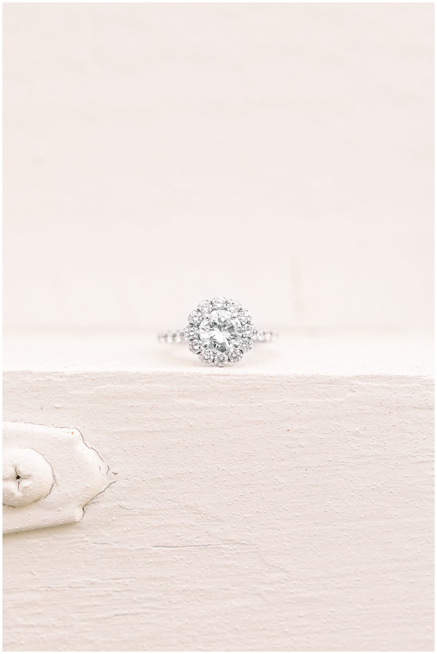 Ray Family Farm Engagement Session - Bunn WEdding Photographer - Tiffany L Johnson Photography_0056.jpg