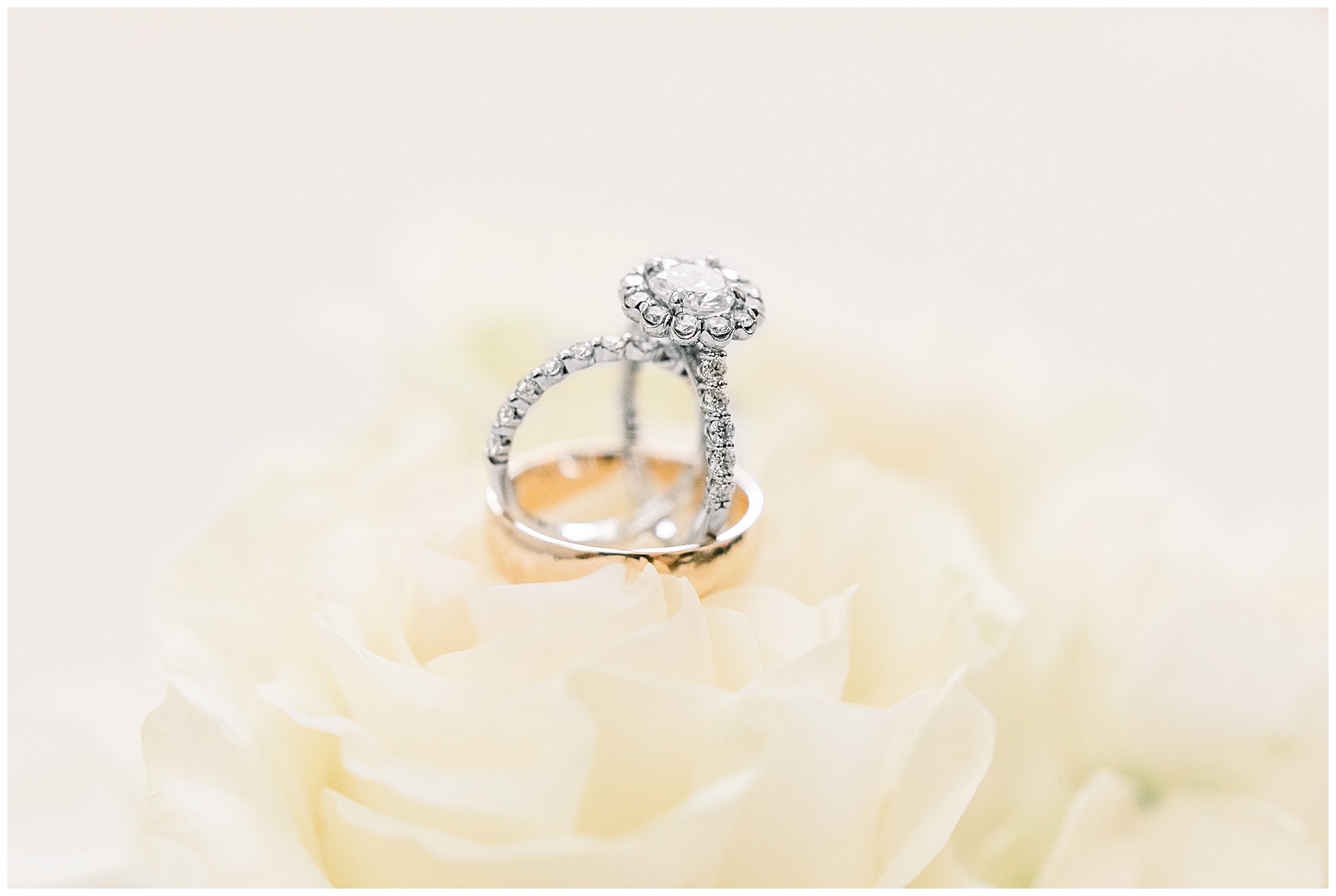 Ray Family Farms Wedding Day - Tiffany L Johnson Photography_0004.jpg