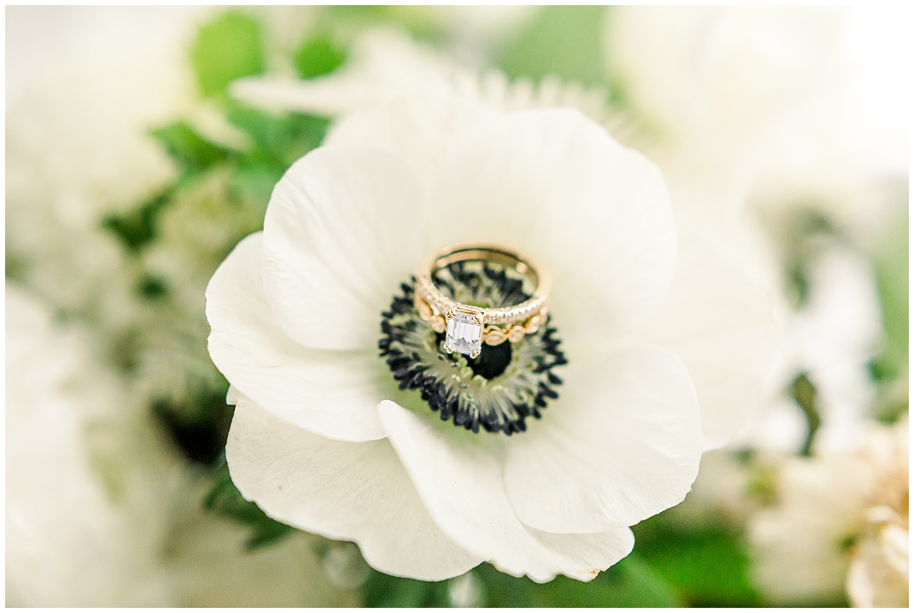 Reynolda Gardens Wedding - Winston Salem Wedding Photographer - Tiffany L Johnson Photography_0009.jpg