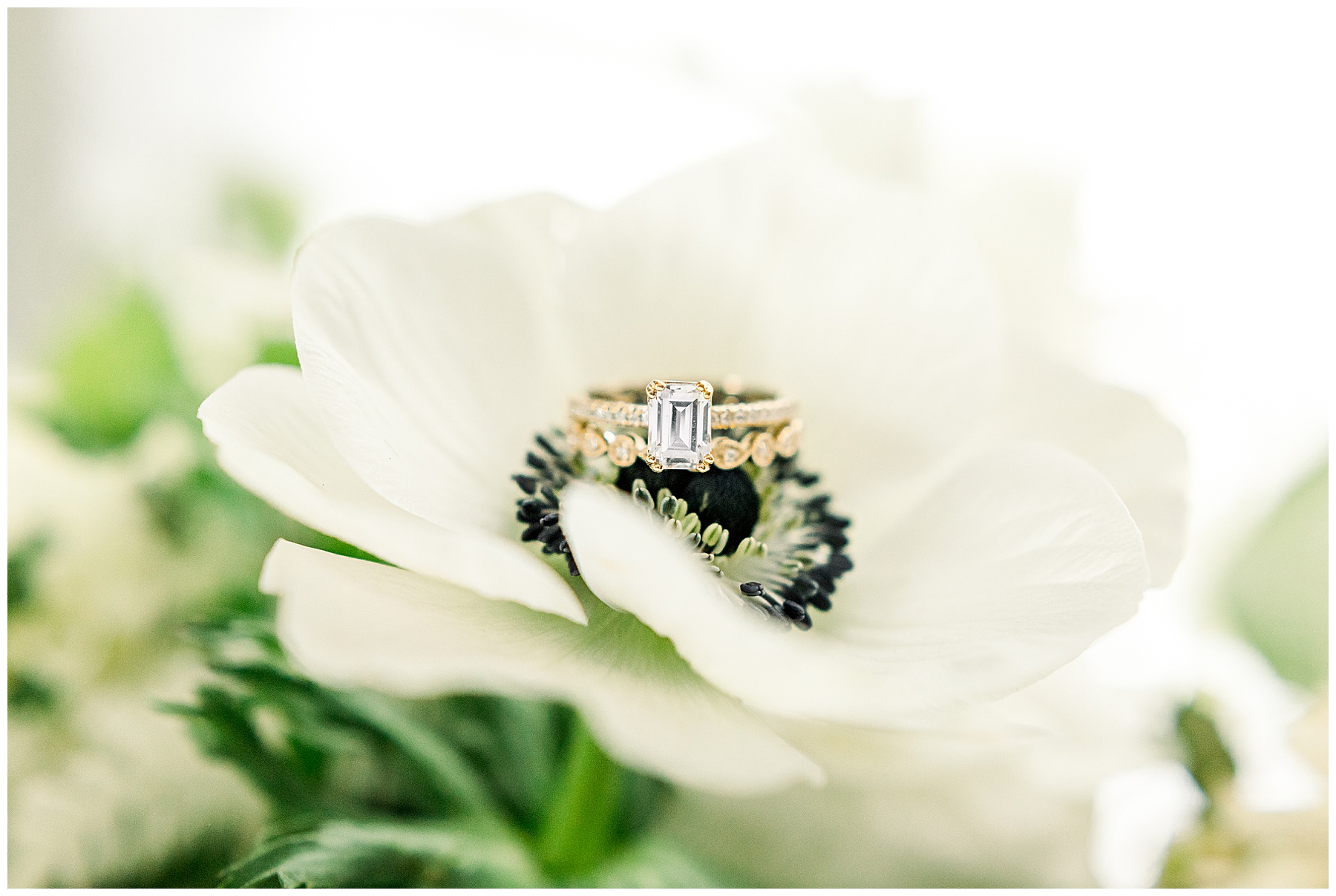 Reynolda Gardens Wedding - Winston Salem Wedding Photographer - Tiffany L Johnson Photography_0058.jpg