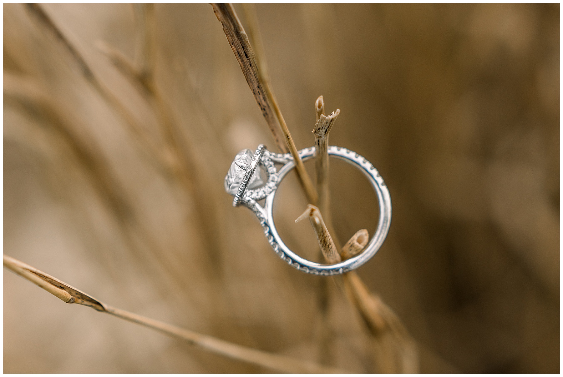 Raleigh Engagement Session - Tiffany L Johnson Photography_0017.jpg