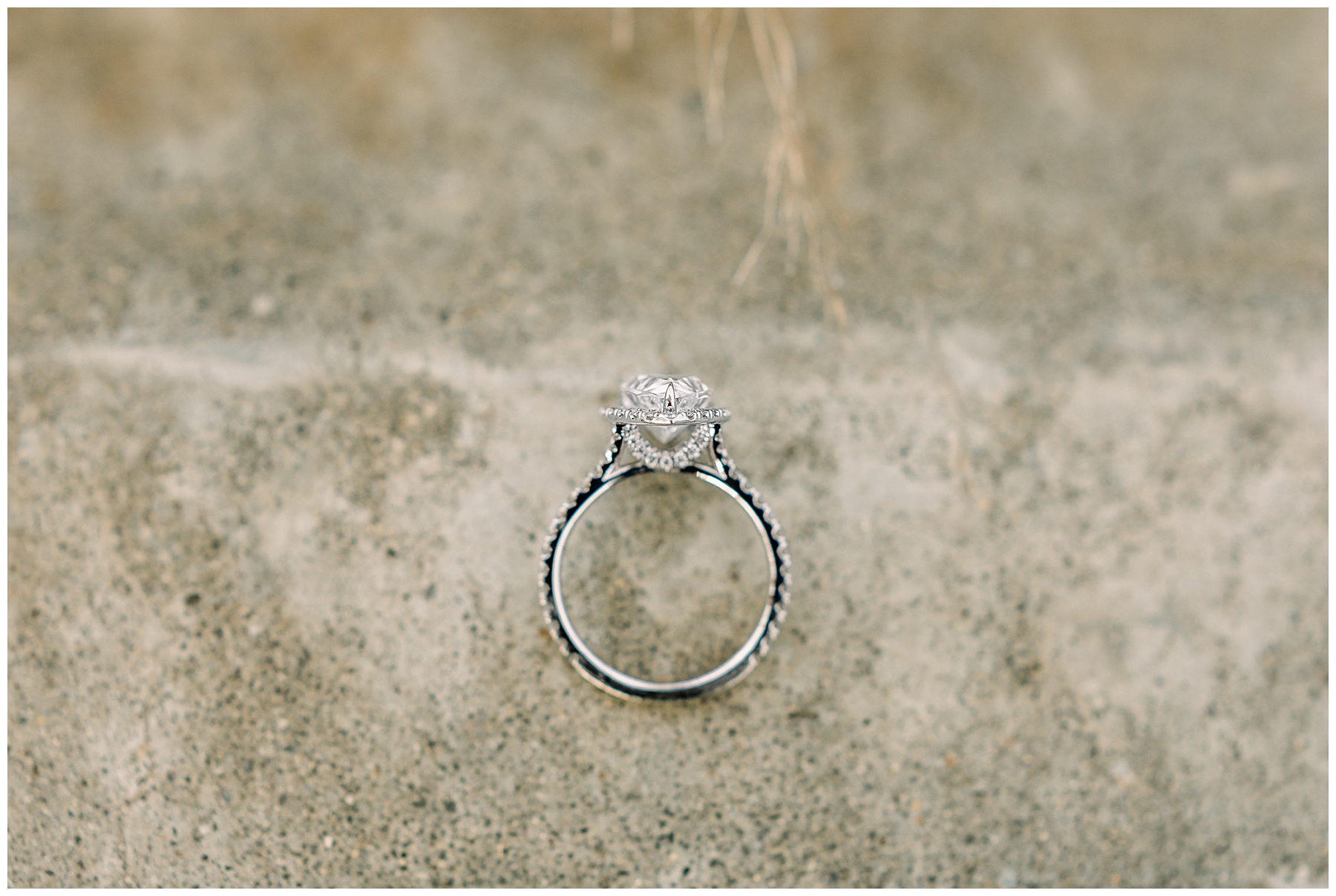 Raleigh Engagement Session - Tiffany L Johnson Photography_0031.jpg