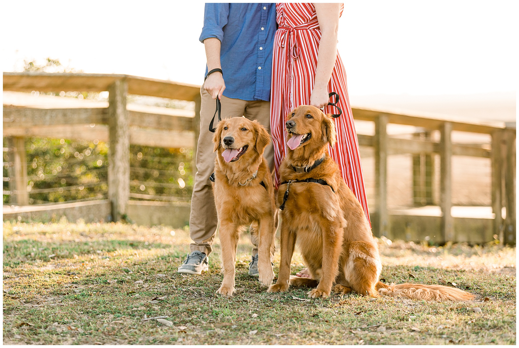 Beach Engagement Session - Wilmington Wedding Photographer - Tiffany L Johnson Photography_0035.jpg