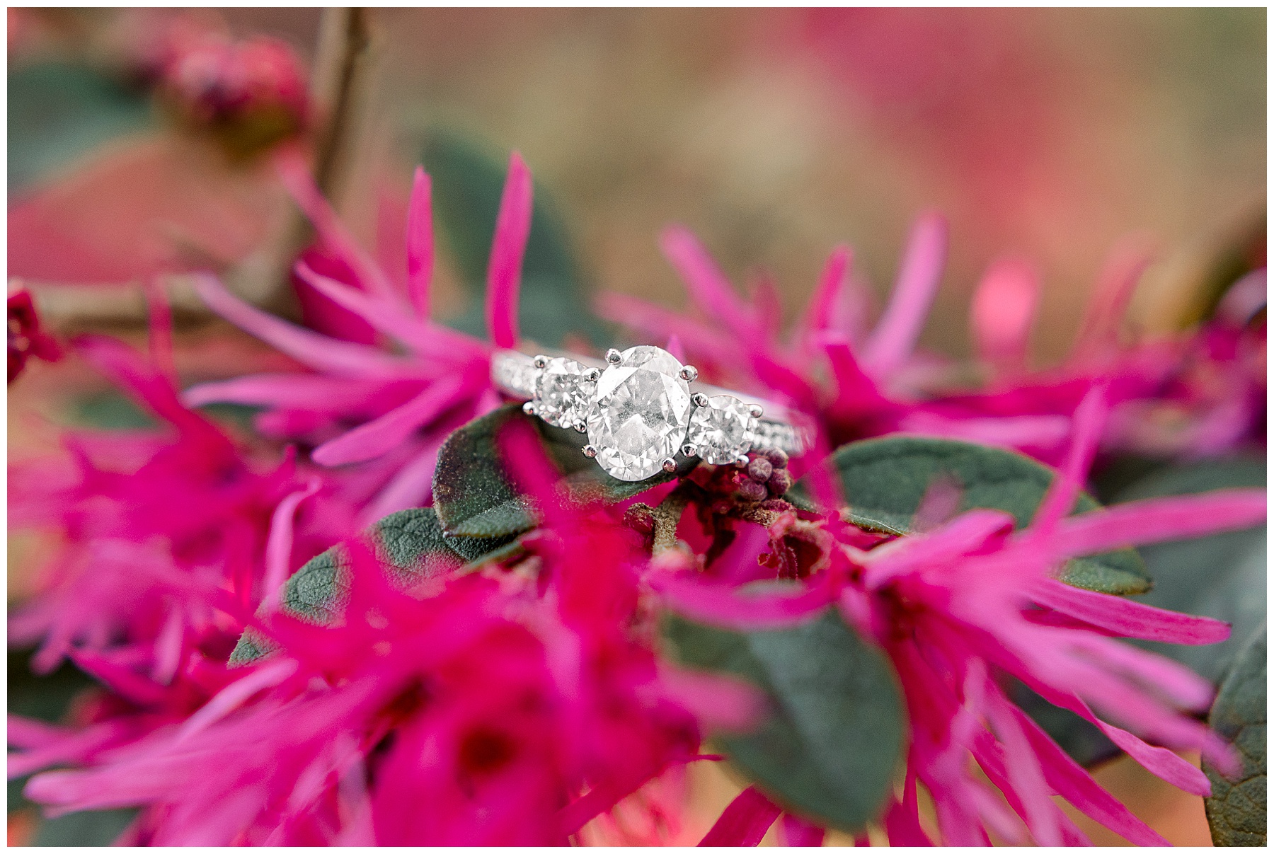 Wilmington Wedding Photographer - Wrightsville Beach Wedding Photographer - Tiffany L Johnson Photography_0025.jpg