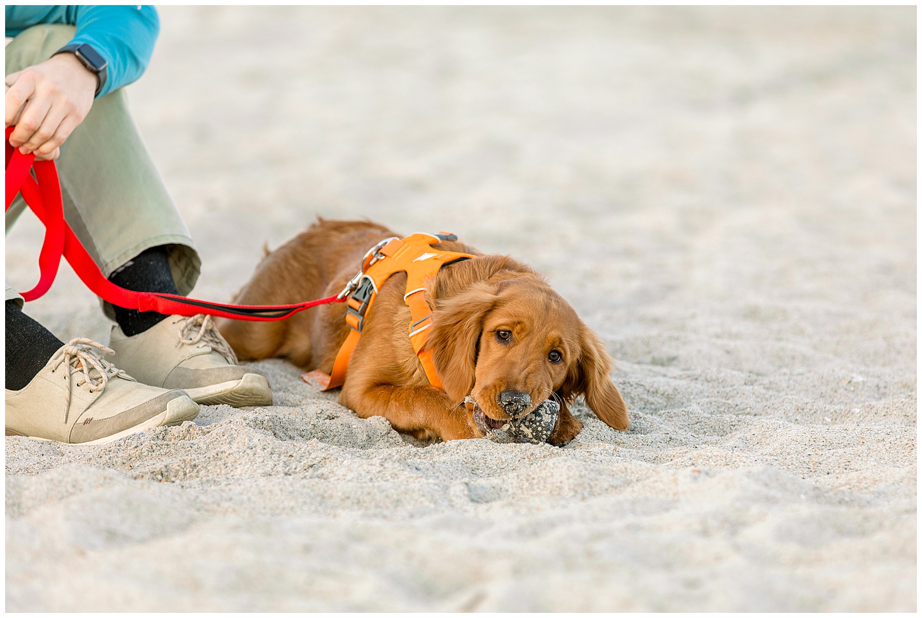 Wilmington Wedding Photographer - Wrightsville Beach Wedding Photographer - Tiffany L Johnson Photography_0097.jpg