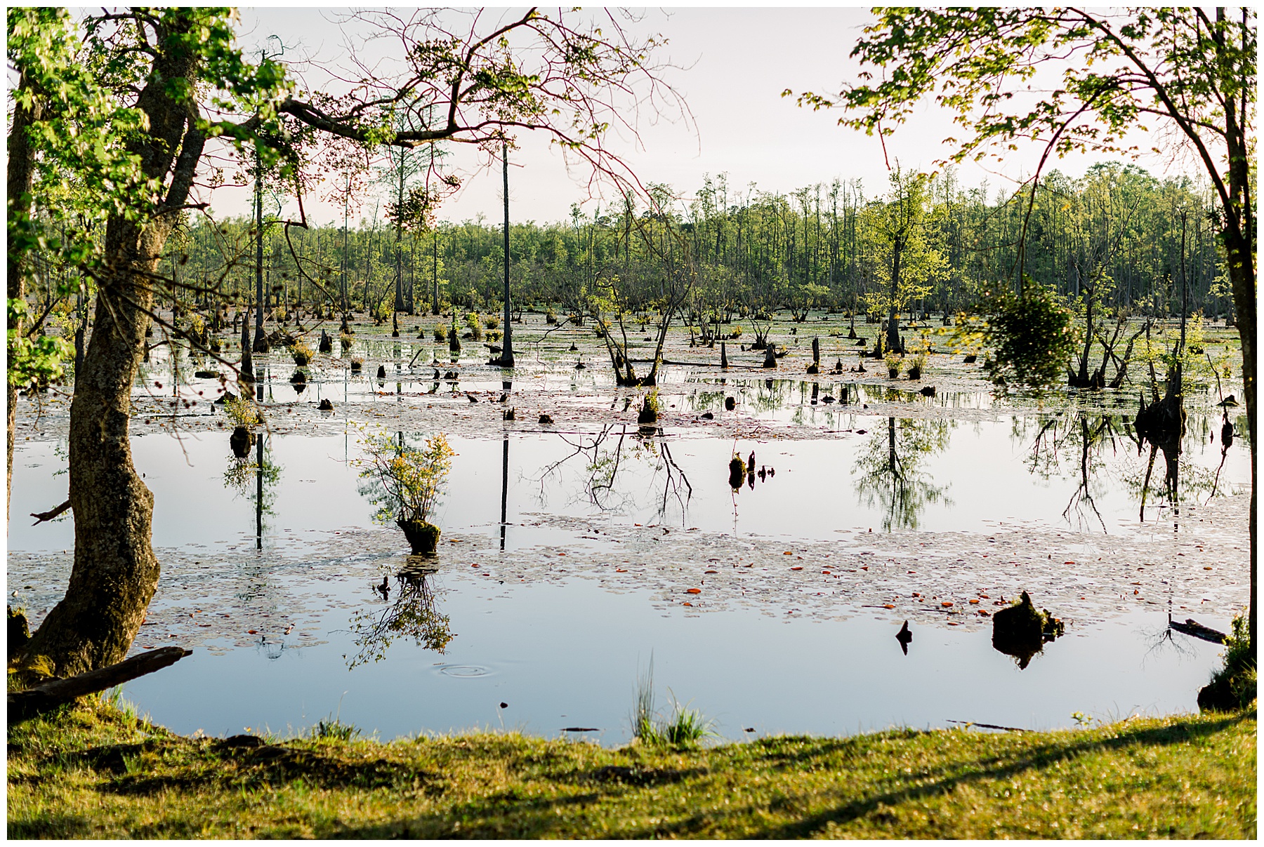 NC Farm Engagement Session - Tiffany L Johnson Photography_0044.jpg