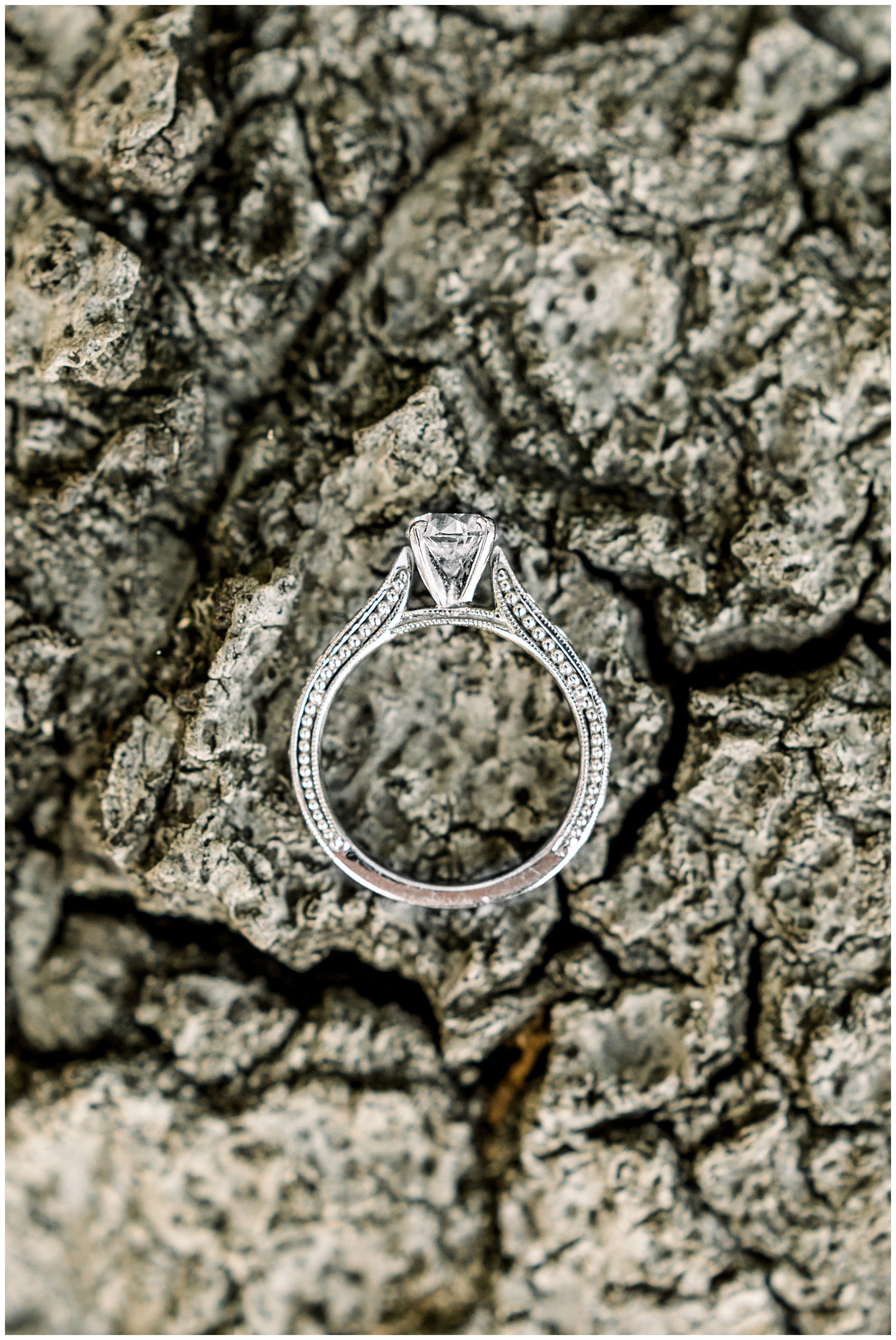 NC Farm Engagement Session - Tiffany L Johnson Photography_0048.jpg