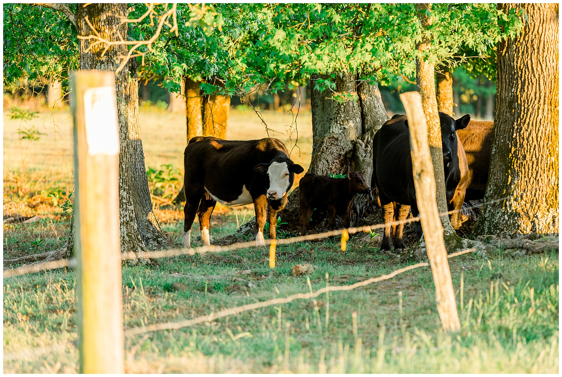 NC Farm Engagement Session - Tiffany L Johnson Photography_0050.jpg