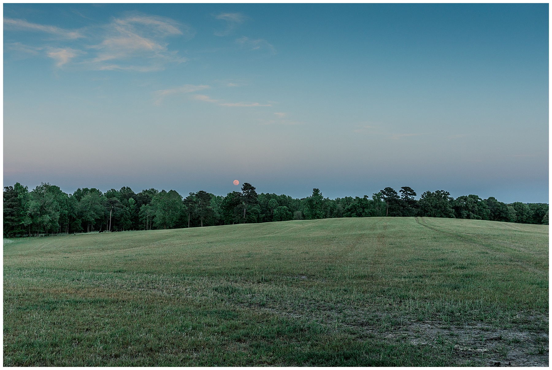 NC Farm Engagement Session - Tiffany L Johnson Photography_0076.jpg