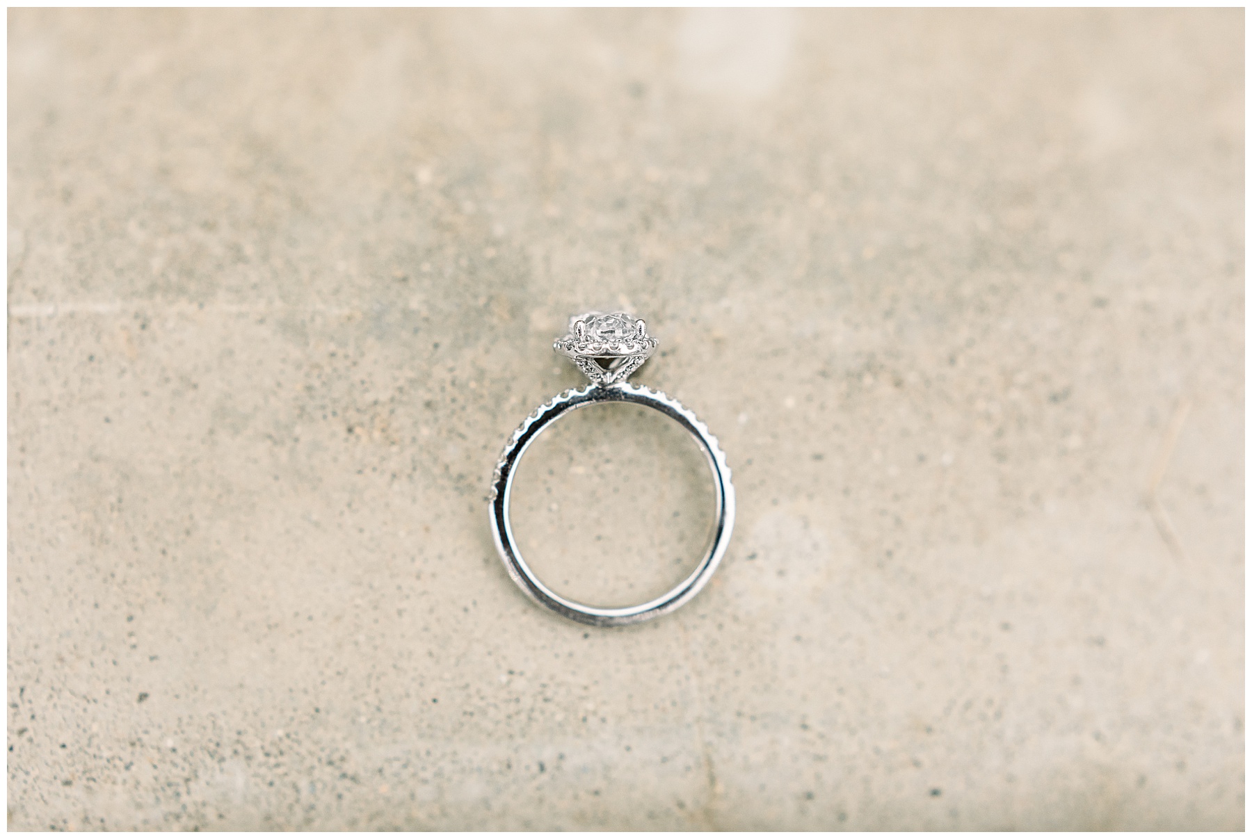 Field Engagement Session - Raleigh NC Wedding Photographer - Tiffany L Johnson Photography_0003.jpg