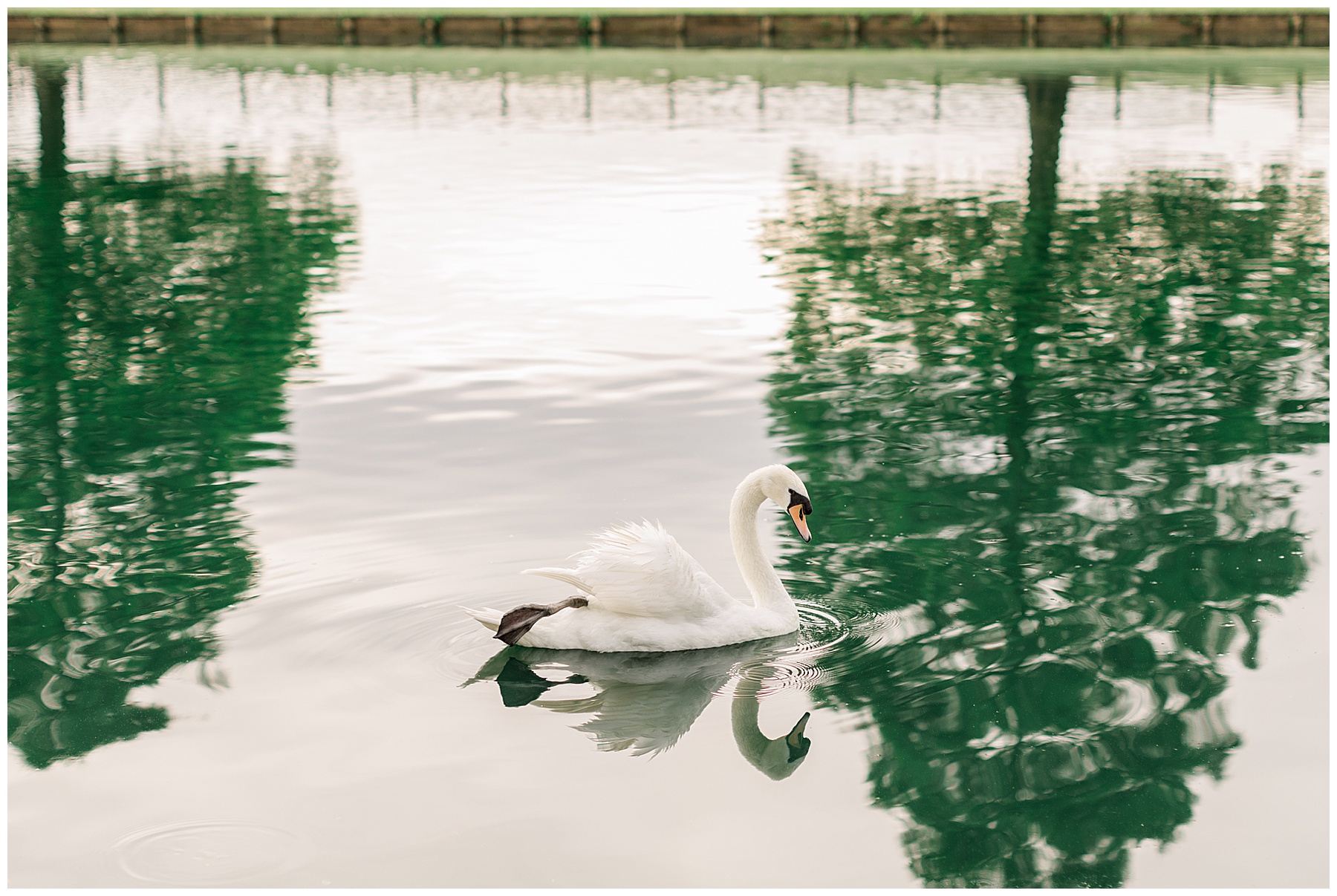 Rose Hill Bridal Session - Tiffany L Johnson Photography - Rose Hill Estate_0022.jpg