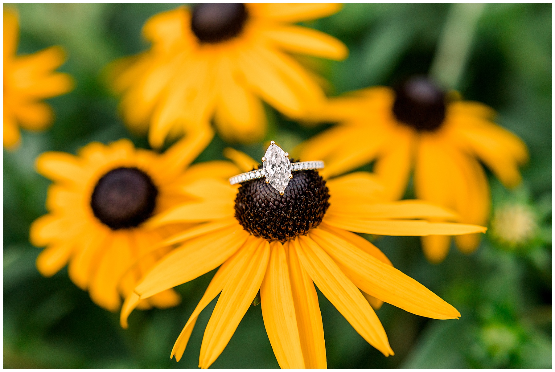 Airlie Gardens Engagement Session - Wrightsville Beach - Tiffany L Johnson Photography
