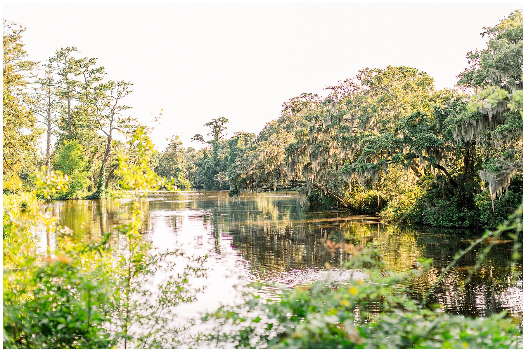 Airlie Gardens Engagement Session - Wrightsville Beach - Tiffany L Johnson Photography