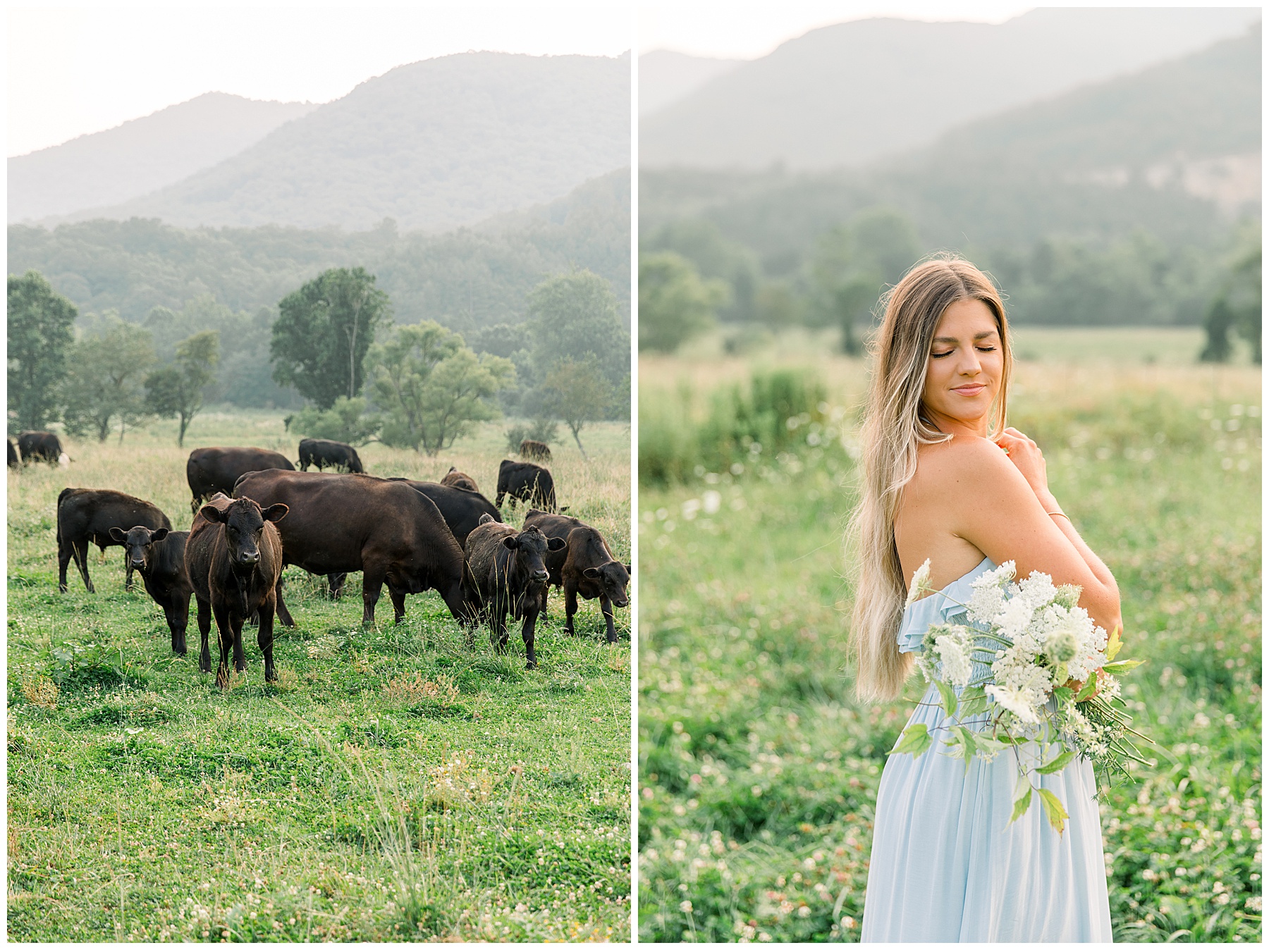 NC Mountains Photoshoot - Asheville Mountain NC Photoshoot_0043.jpg NC Mountains Photoshoot - Asheville Mountain NC Photoshoot_0043.jpg