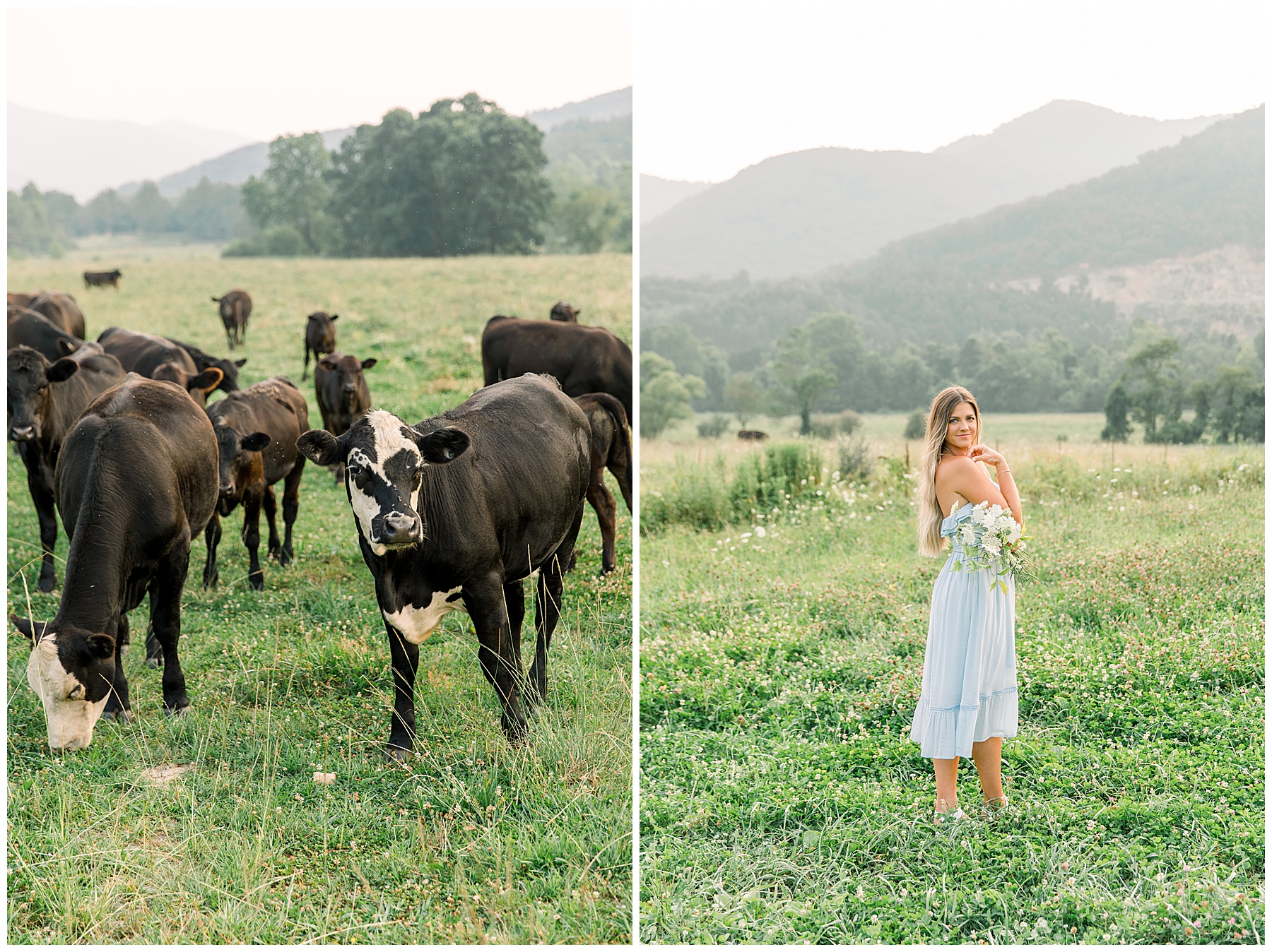 NC Mountains Photoshoot - Asheville Mountain NC Photoshoot_0048.jpg NC Mountains Photoshoot - Asheville Mountain NC Photoshoot_0048.jpg