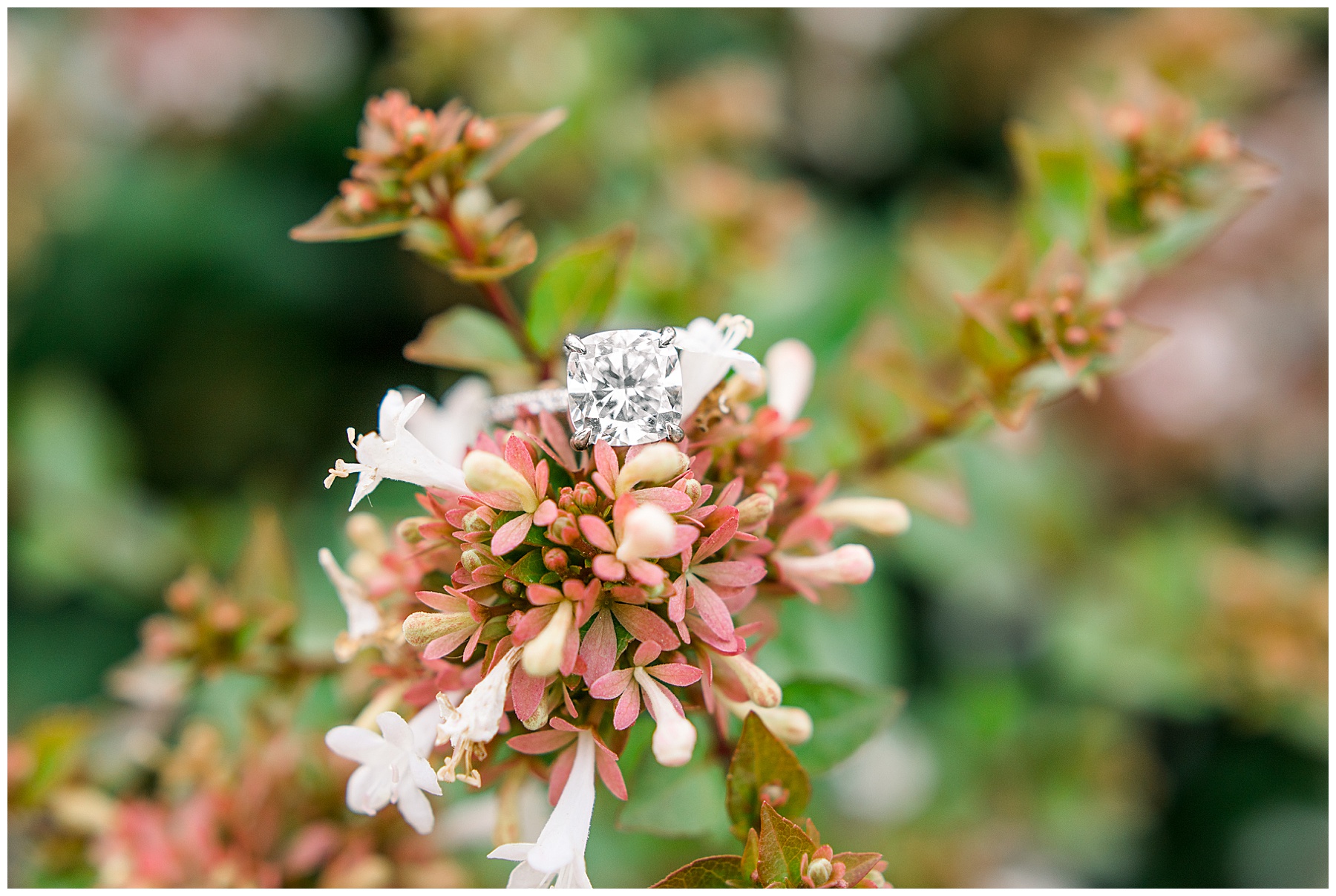 Raleigh Wedding Photographer - Wake Forest NC Wedding Photographer_0010.jpg