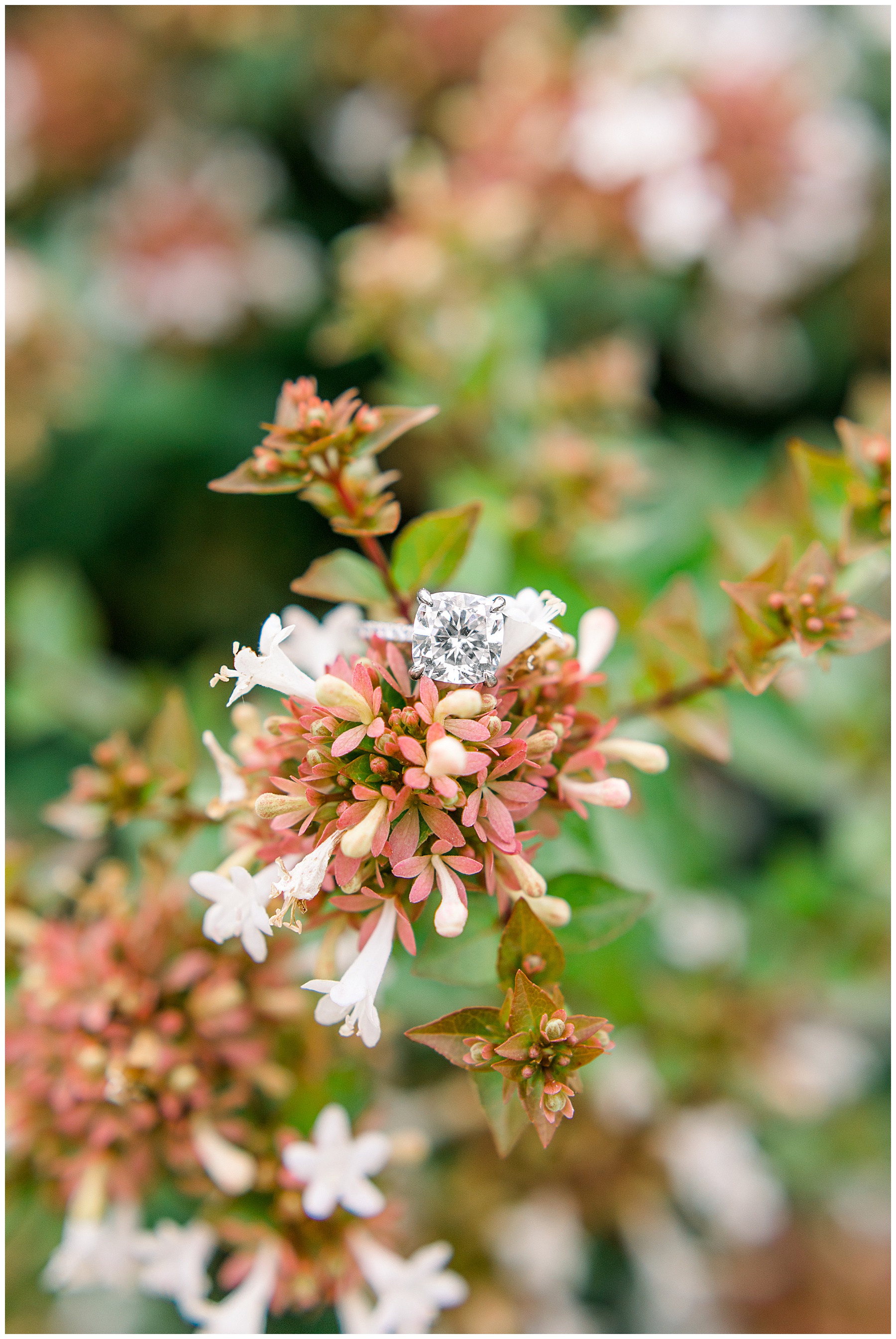 Raleigh Wedding Photographer - Wake Forest NC Wedding Photographer_0054.jpg