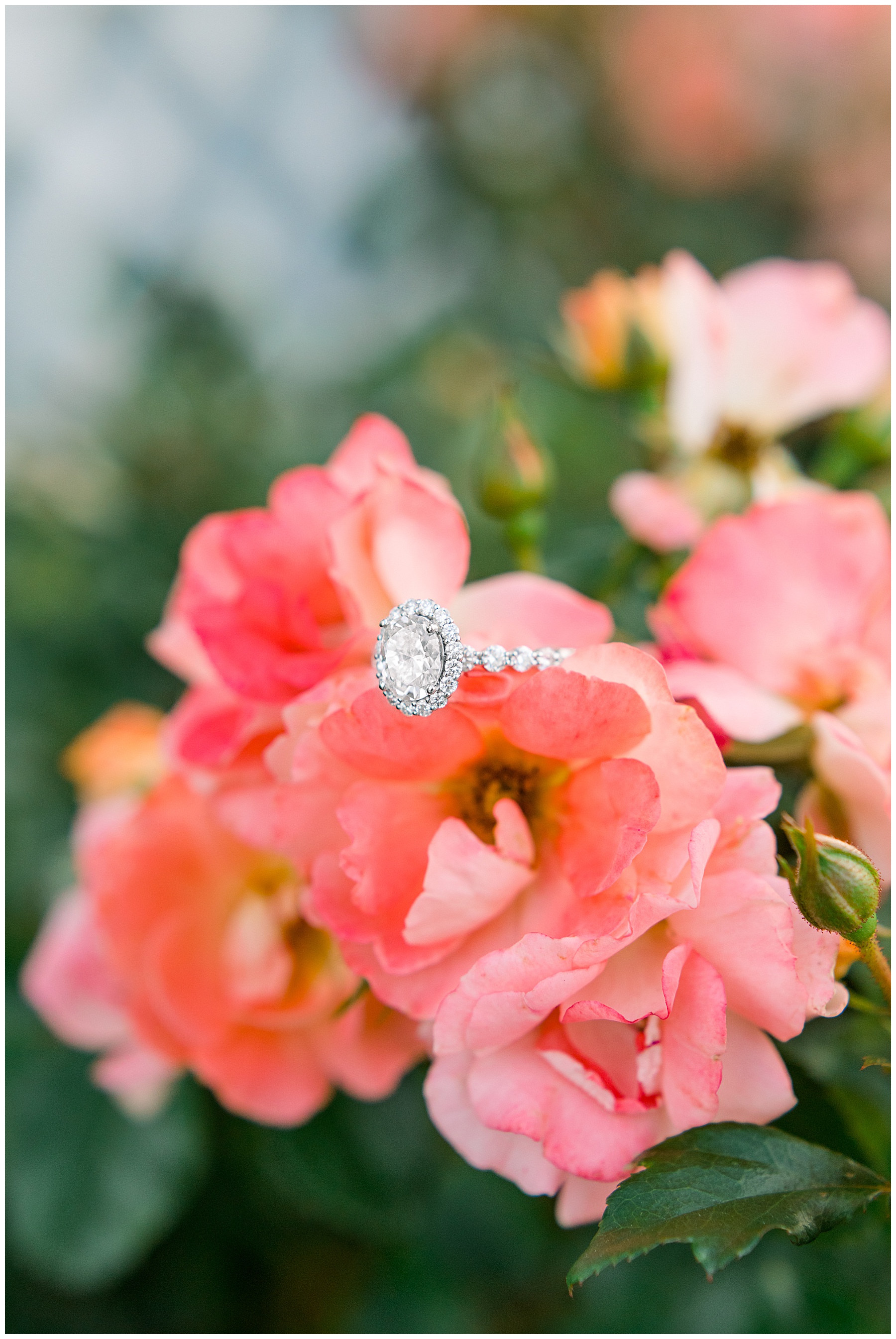 Beaufort Engagement Session - Beaufort Wedding Photographer - Tiffany L Johnson Photography_0027.jpg Beaufort Engagement Session - Beaufort Wedding Photographer - Tiffany L Johnson Photography_0027.jpg