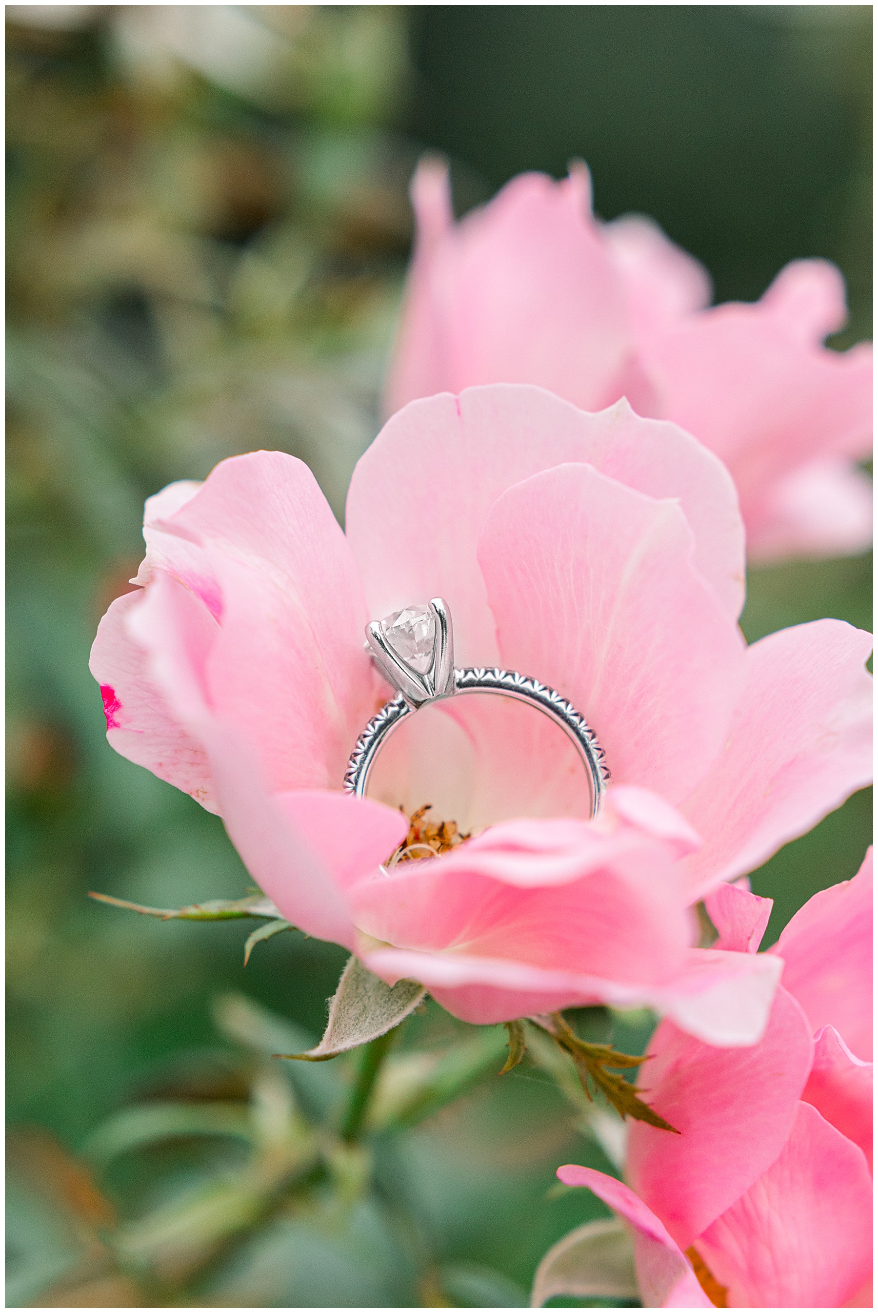 Charleston Engagement Session - Tiffany L Johnson Photography - Charleston SC Wedding Photographer