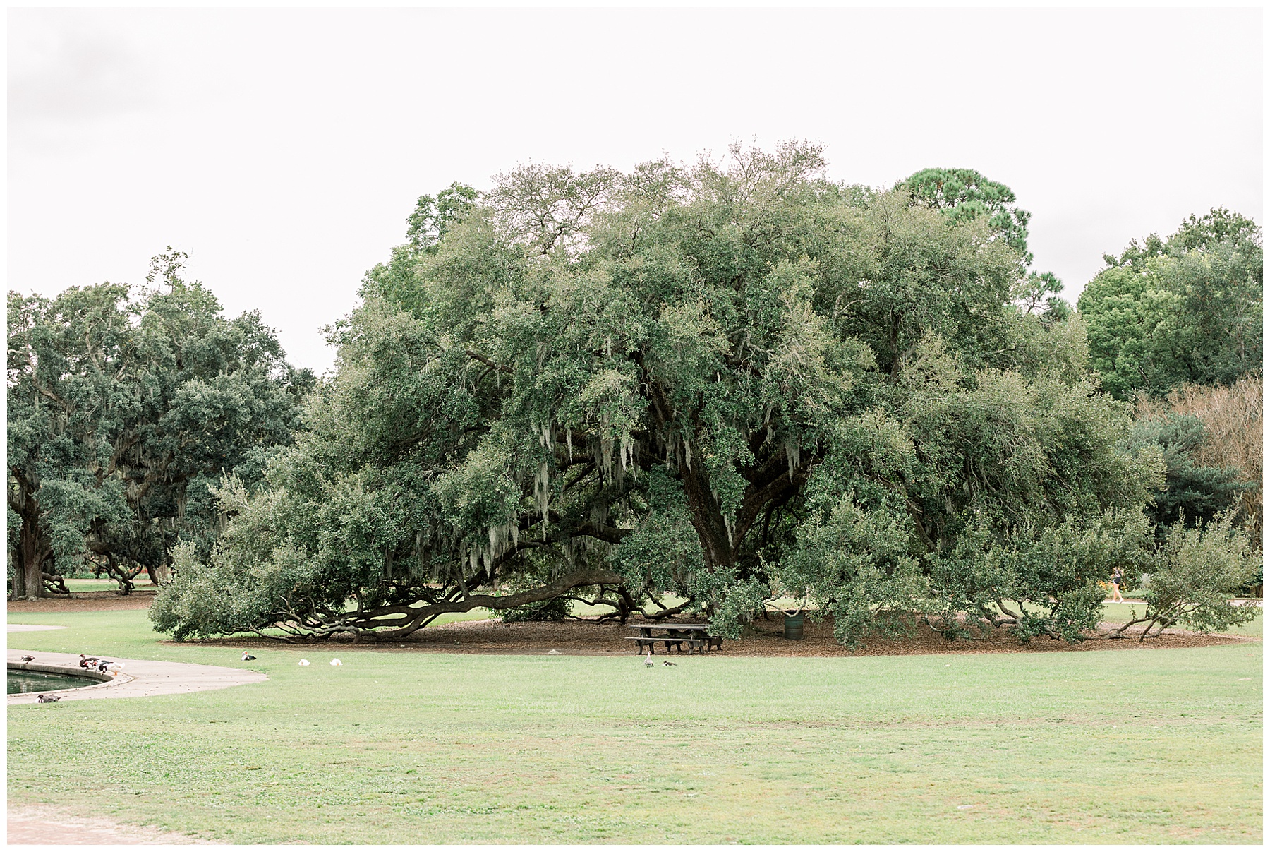 Charleston Engagement Session - Tiffany L Johnson Photography - Charleston SC Wedding Photographer
