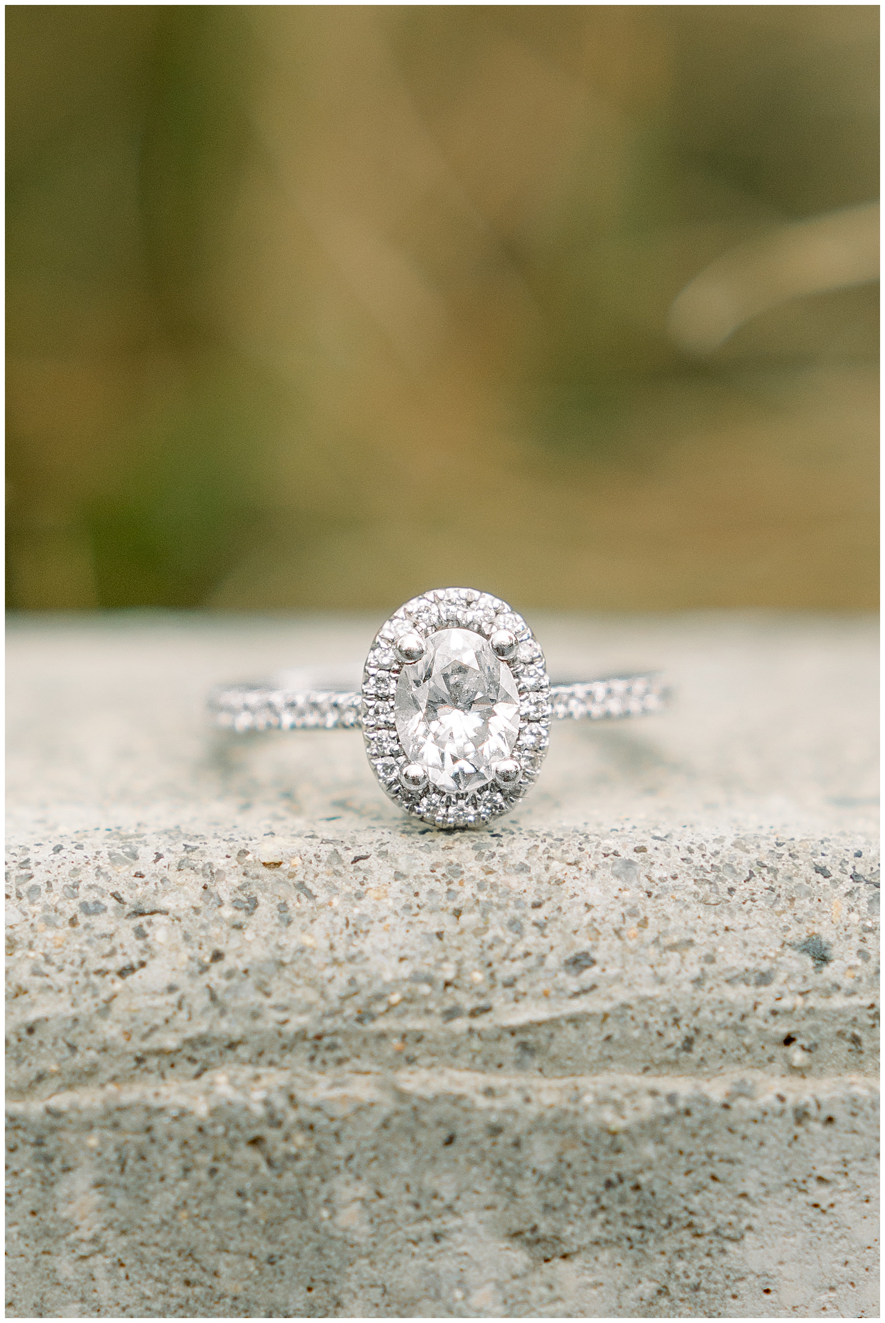 Raleigh Engagement Session - Tiffany L Johnson Photography