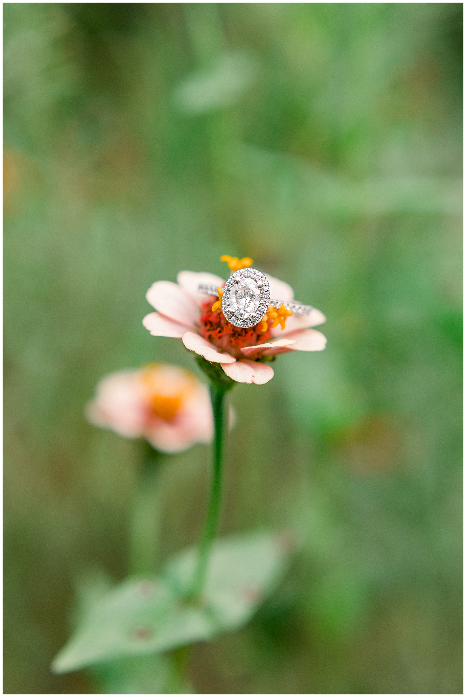 Raleigh Engagement Session - Tiffany L Johnson Photography