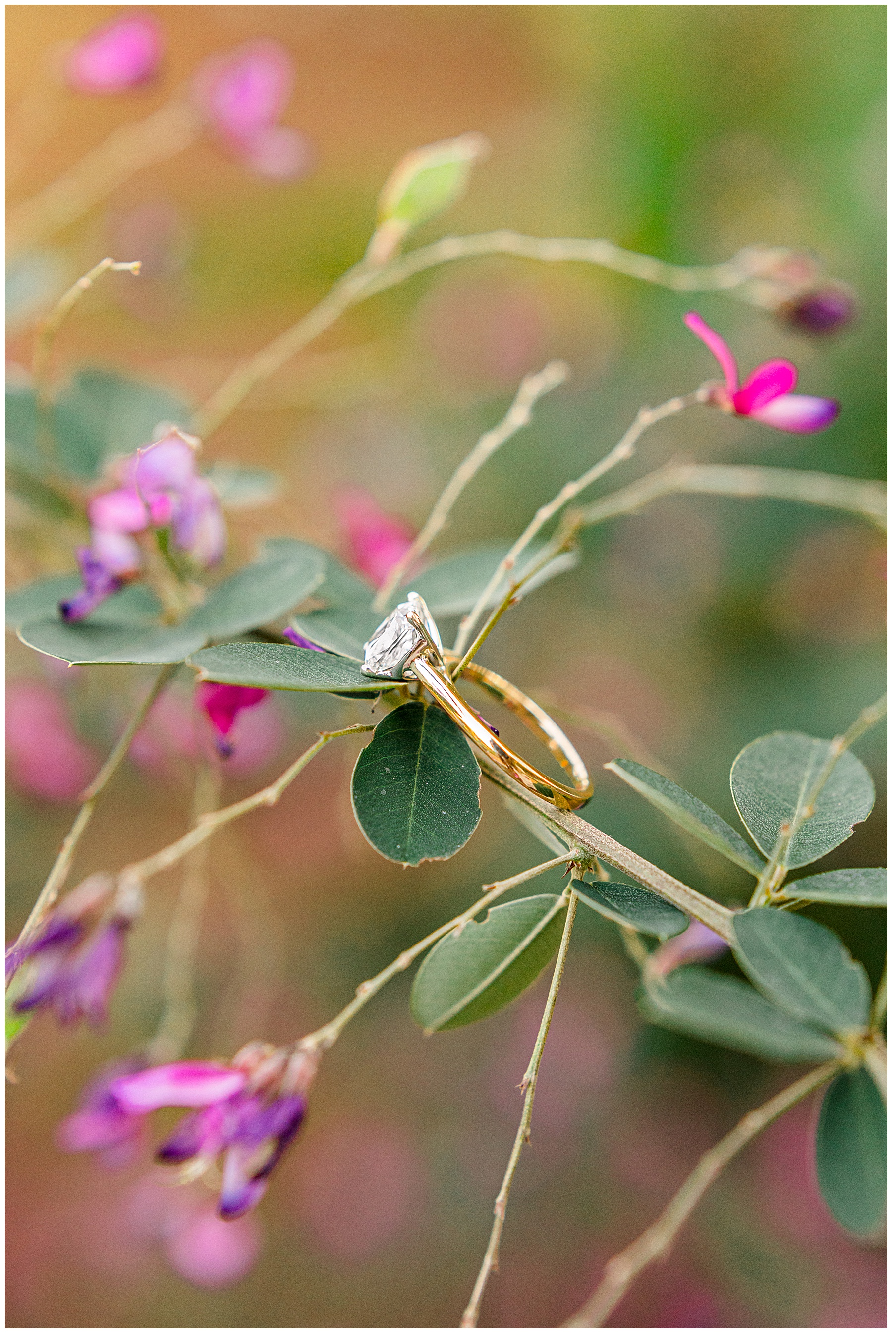 Raleigh Engagement Session - Tiffany L Johnson Photography