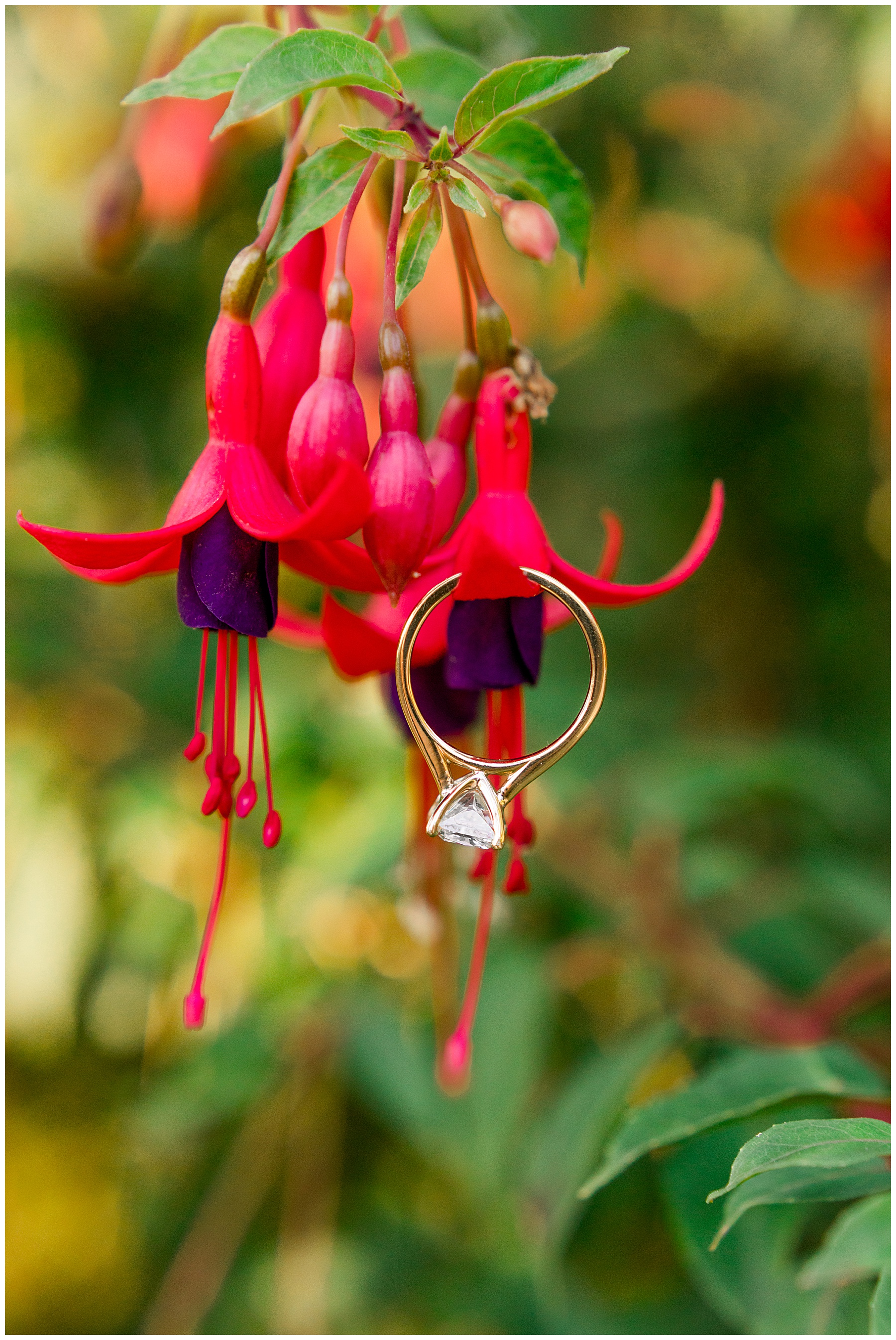 Raleigh Engagement Session - Tiffany L Johnson Photography