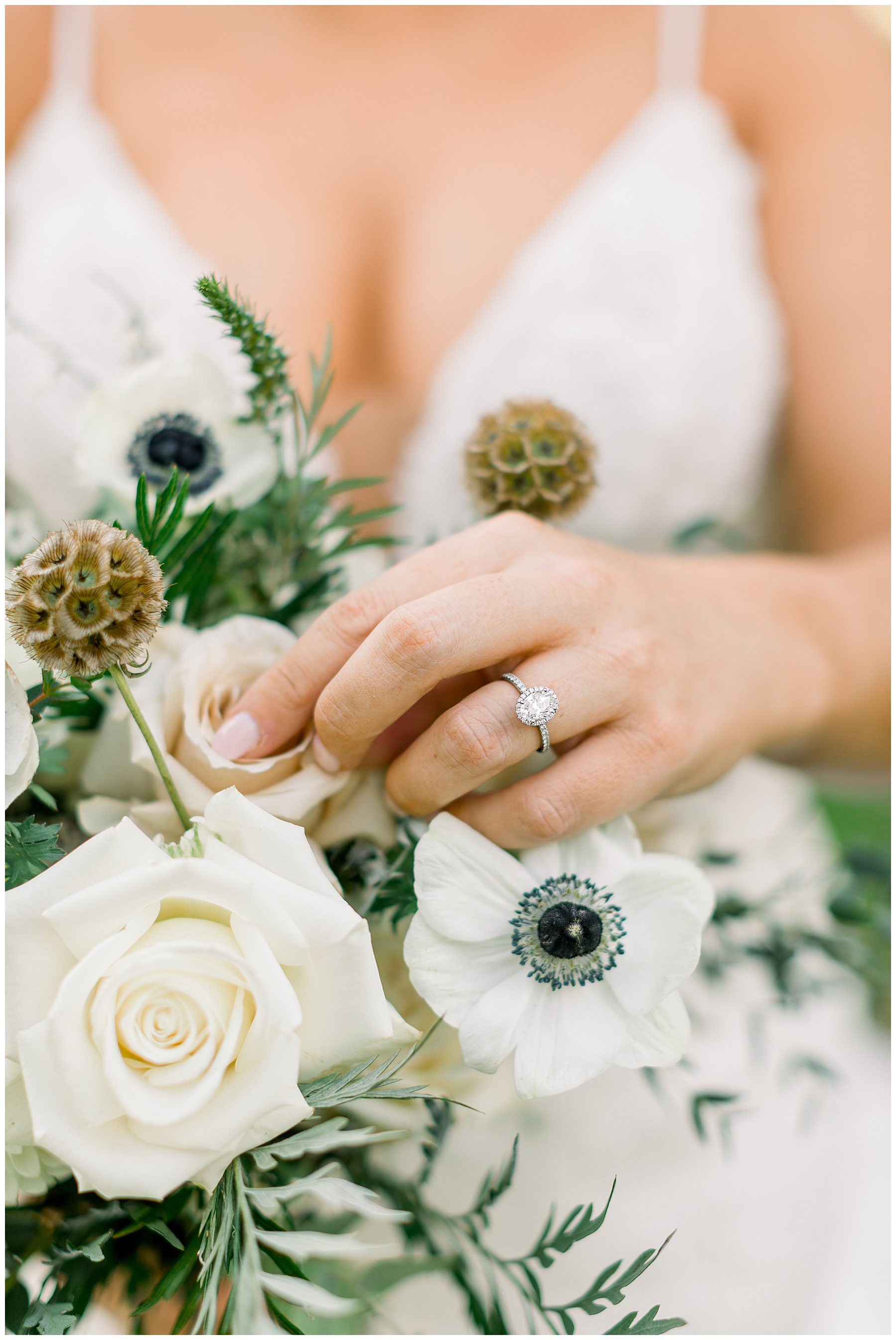 Airlie Gardens Bridal Session - Airlie Gardens Wedding Photographer - Tiffany L Johnson Photography_0006.jpg Airlie Gardens Bridal Session - Airlie Gardens Wedding Photographer - Tiffany L Johnson Photography_0006.jpg