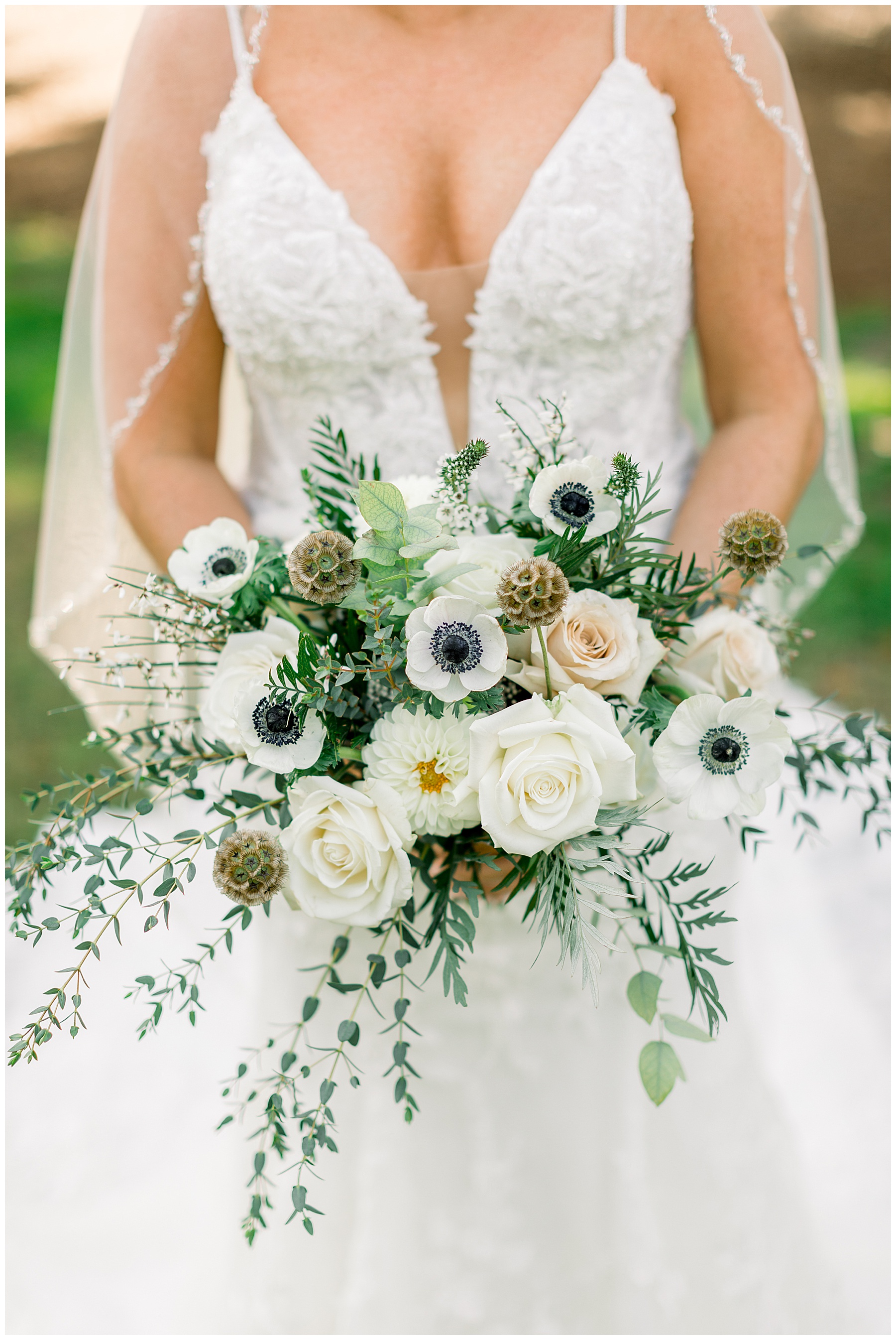 Airlie Gardens Bridal Session - Airlie Gardens Wedding Photographer - Tiffany L Johnson Photography_0047.jpg Airlie Gardens Bridal Session - Airlie Gardens Wedding Photographer - Tiffany L Johnson Photography_0047.jpg