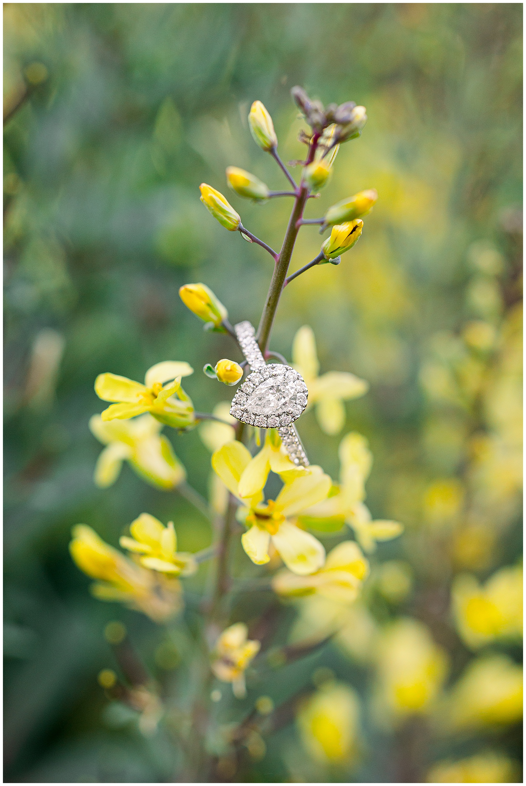 The Cornealius Properties Engagement Session - Tiffany L Johnson Photography