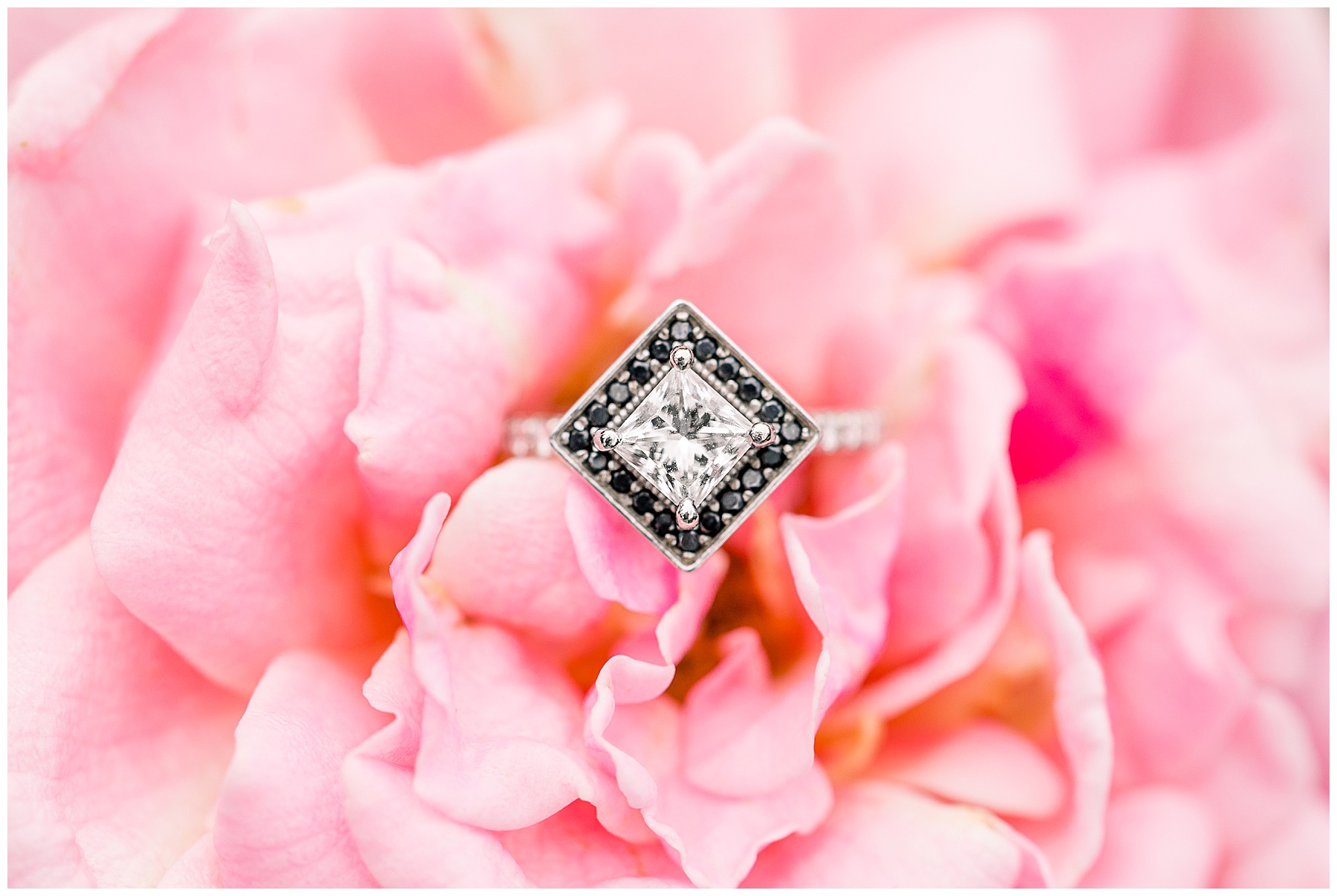 Raleigh Rose Garden Engagement Session - Tiffany L Johnson Photography_0004