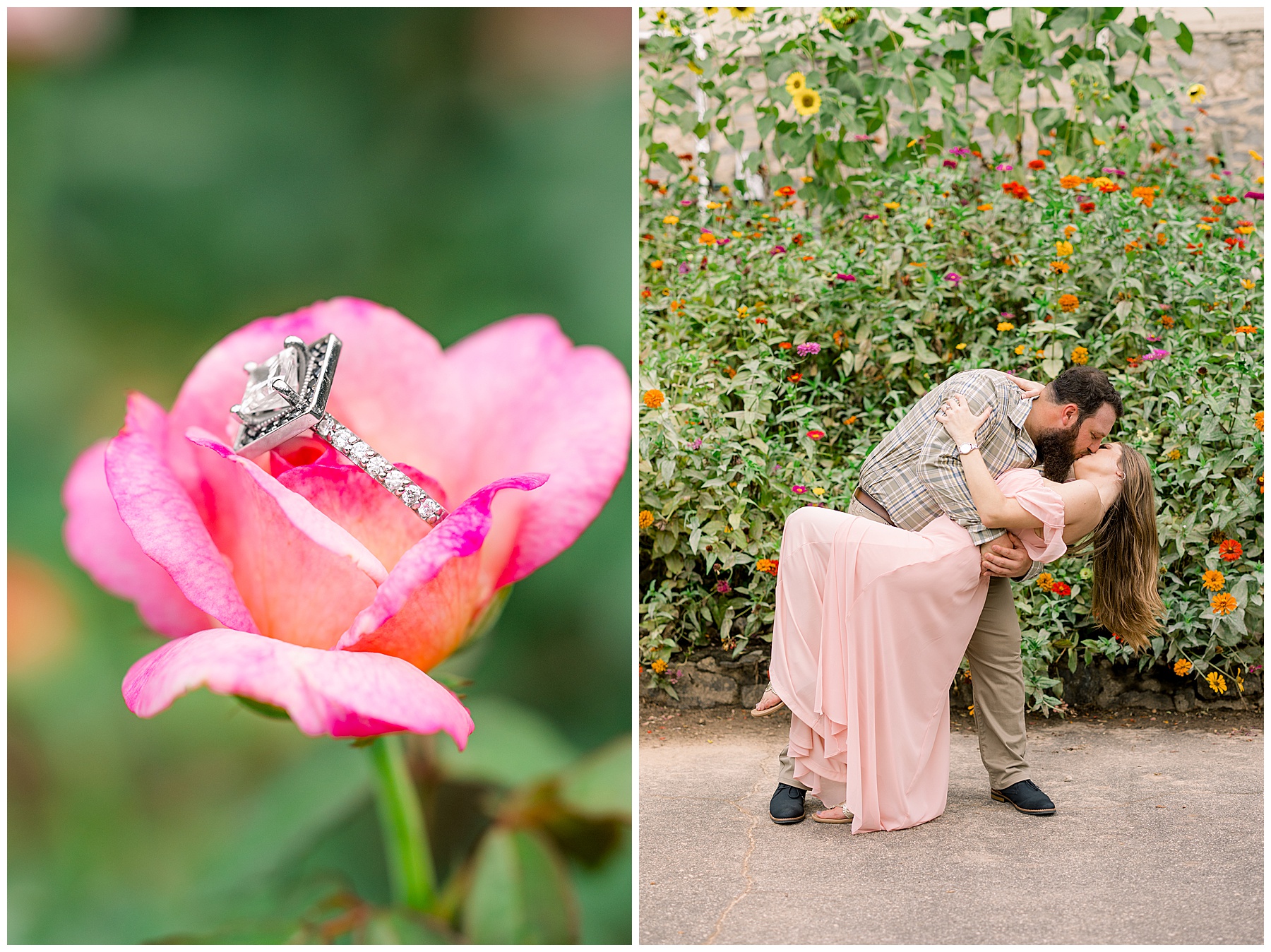 Raleigh Rose Garden Engagement Session - Tiffany L Johnson Photography_0007