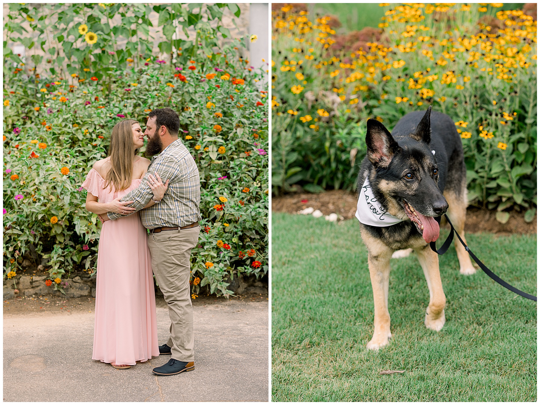 Raleigh Rose Garden Engagement Session - Tiffany L Johnson Photography_0011