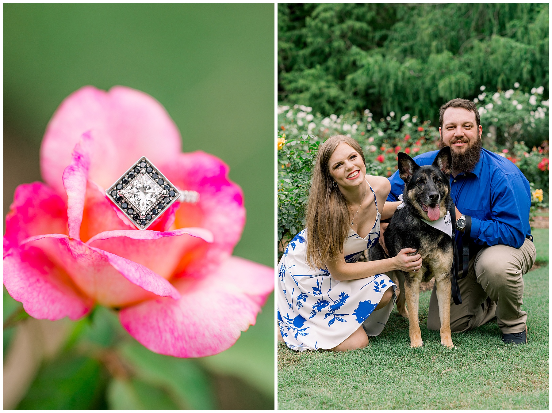 Raleigh Rose Garden Engagement Session - Tiffany L Johnson Photography_0045