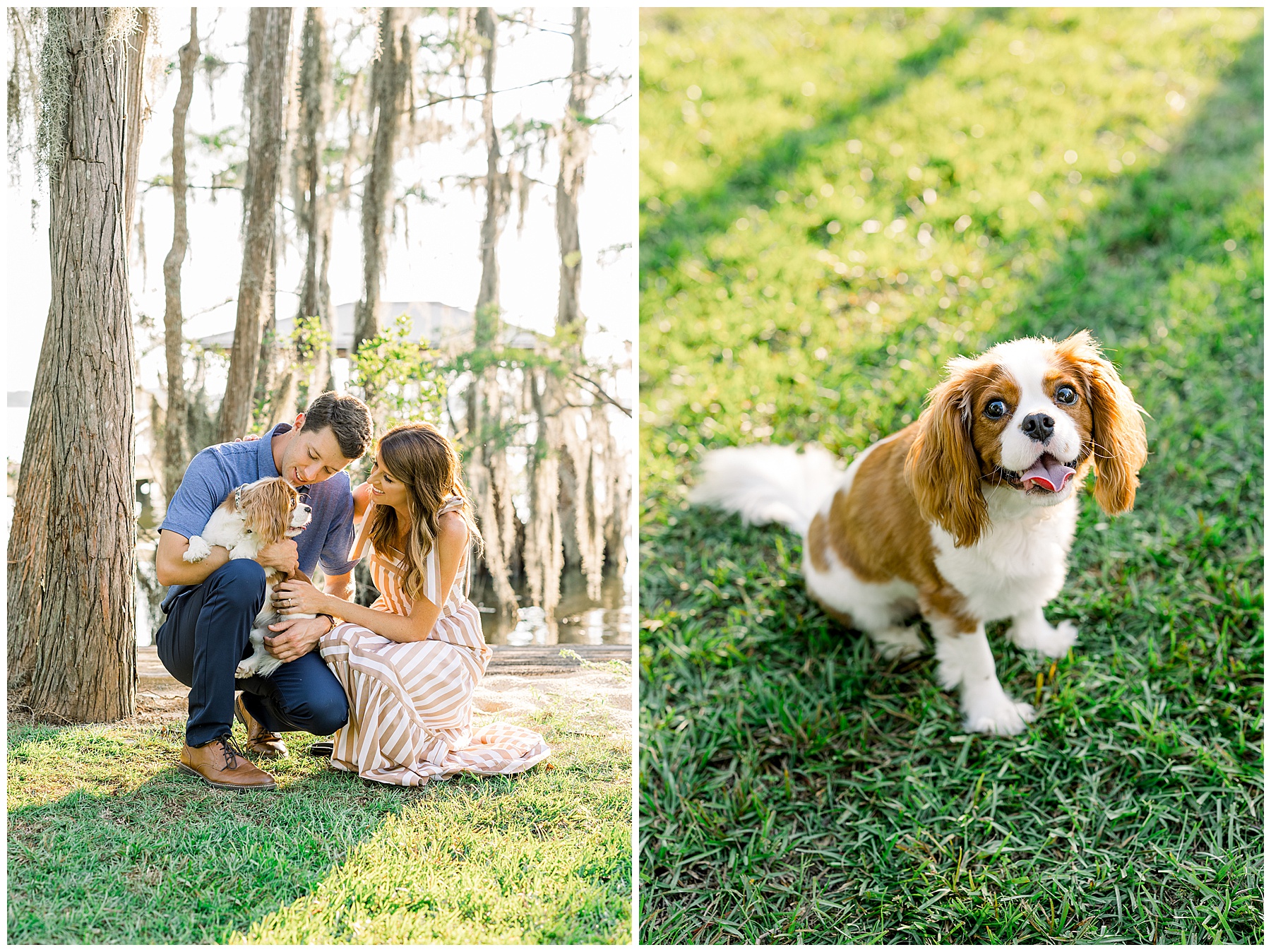 White Lake Engagement Session - Tiffany L Johnson Photography_0044.jpg White Lake Engagement Session - Tiffany L Johnson Photography_0044.jpg