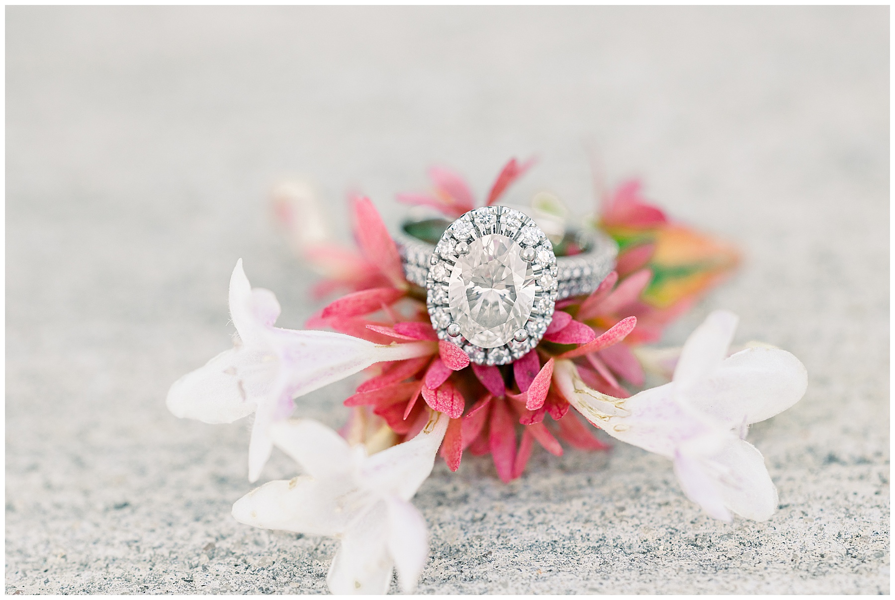 Field Engagement Session - Tiffany L Johnson Photography_0009.jpg