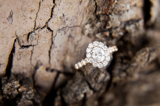 May Lew Farm Farmville NC Engagement Session_0009.jpg