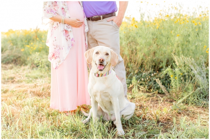 flower field maternity session - wilson nc - tiffany l johnson photography_0043.jpg