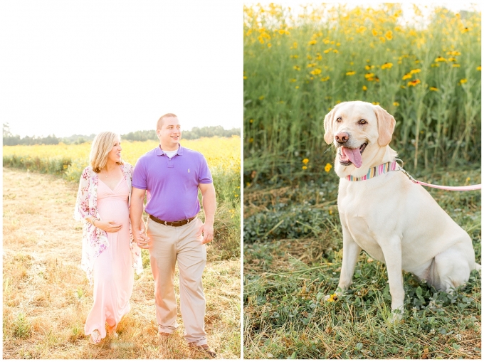 flower field maternity session - wilson nc - tiffany l johnson photography_0044.jpg