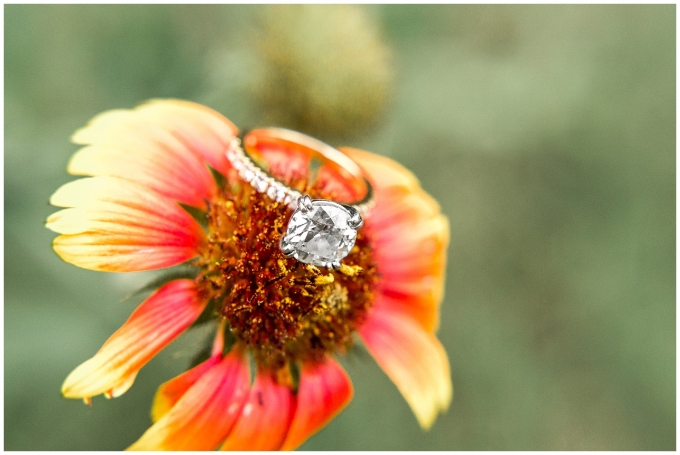 Historic oak engagement session-raleigh nc-raleigh engagement session-tiffany l johnson_0007.jpg