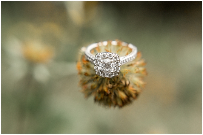 historic oak engagement session raleigh nc-tiffany l johnson photography - raleigh nc engagement session_0024.jpg