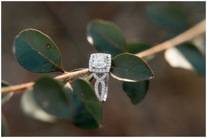 Farm NC Engagement Session - Wilson NC -tiffany l johnson photography_0047.jpg