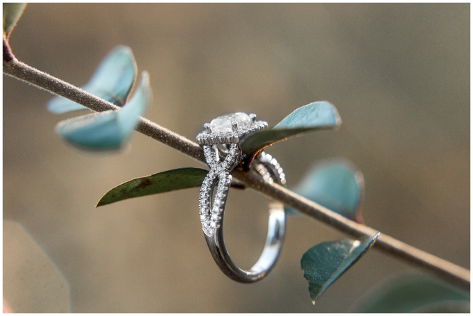 Farm NC Engagement Session - Wilson NC -tiffany l johnson photography_0053.jpg